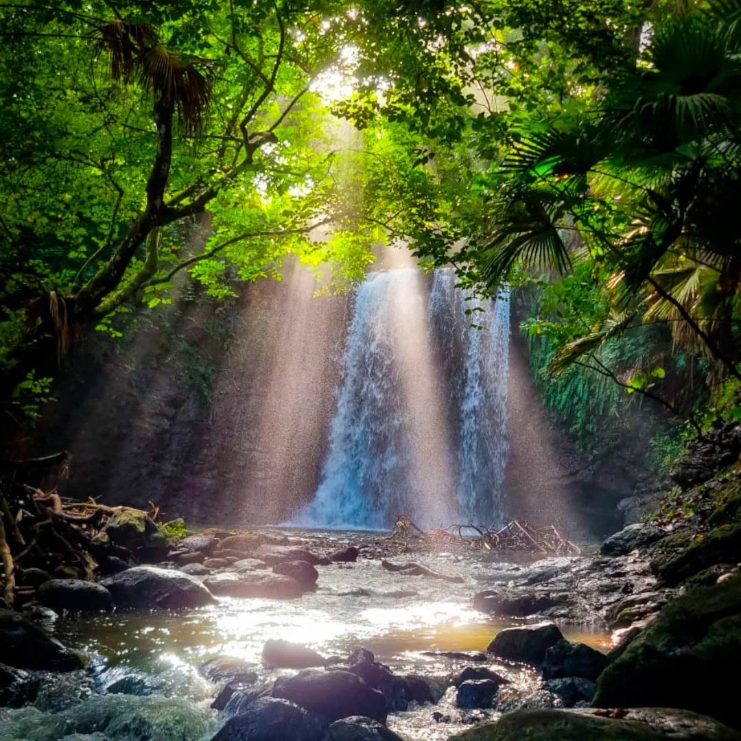 Waterfall in a lush, green forest with sunlight filtering through the trees in Mauritius.