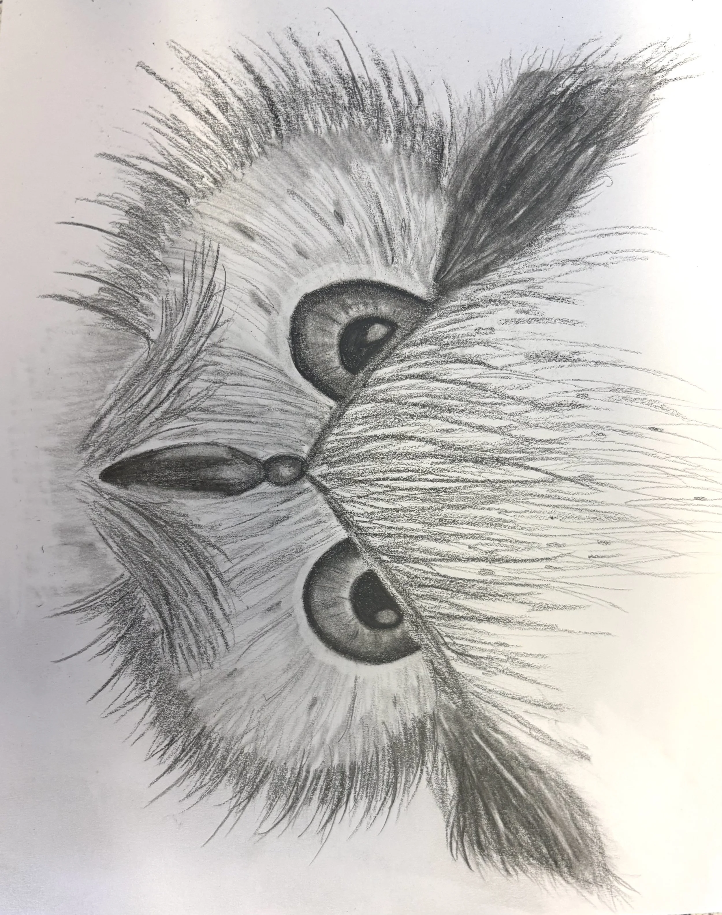 Bird of prey tonal face sketch