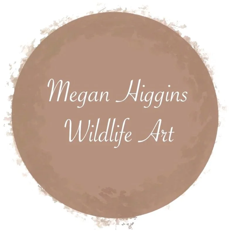 Megan Higgins Wildlife Art