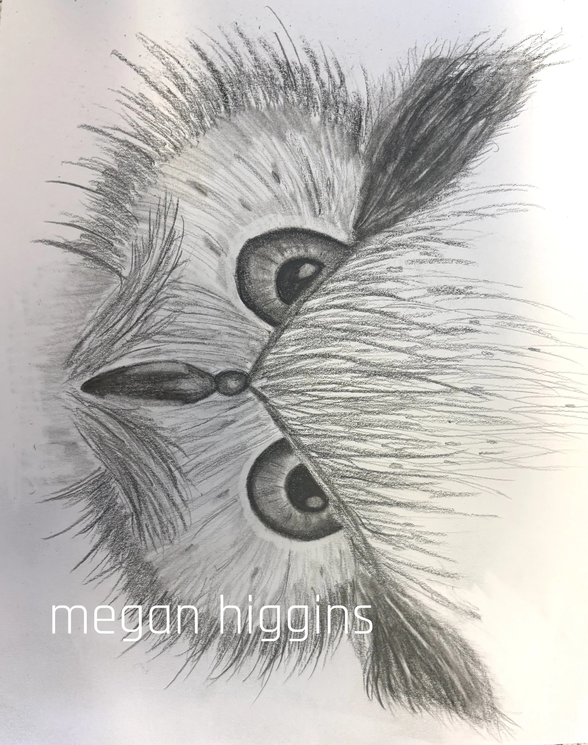 Great Horned Owl tonal face sketch