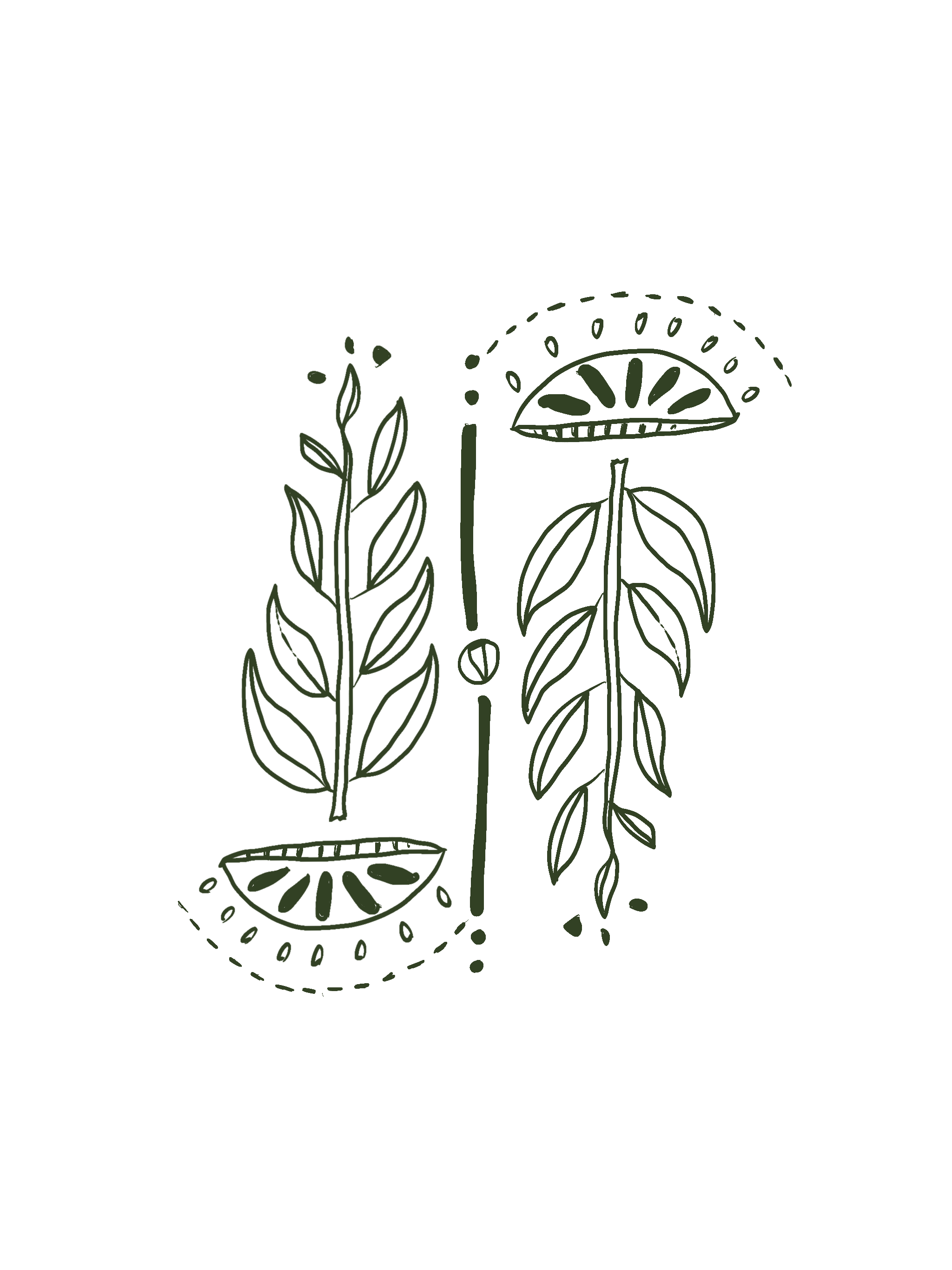 Line drawing of two herb plants, possibly basil or mint, with lemon slices above and below, surrounded by decorative dotted lines.