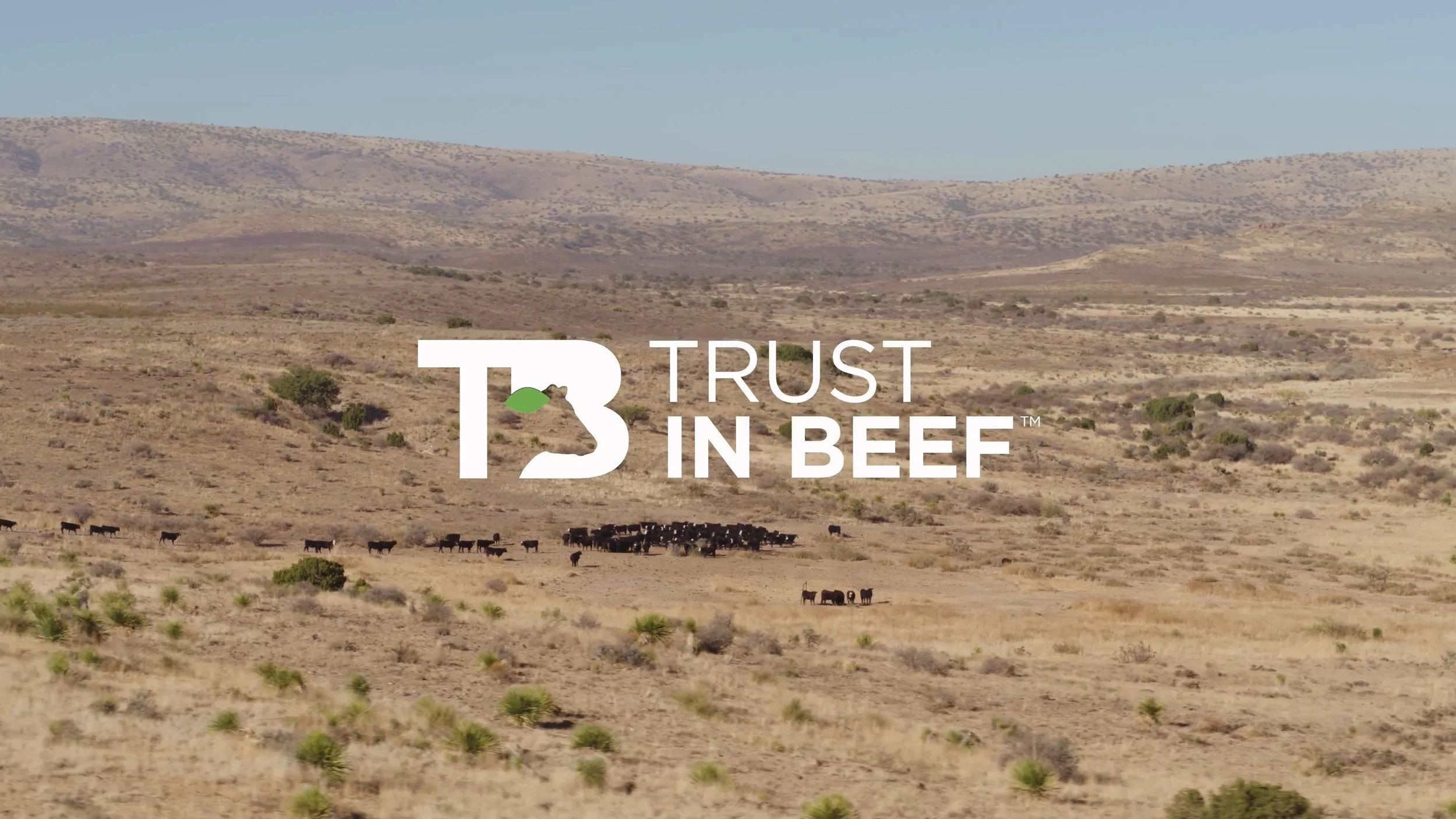 Trust in Beef
