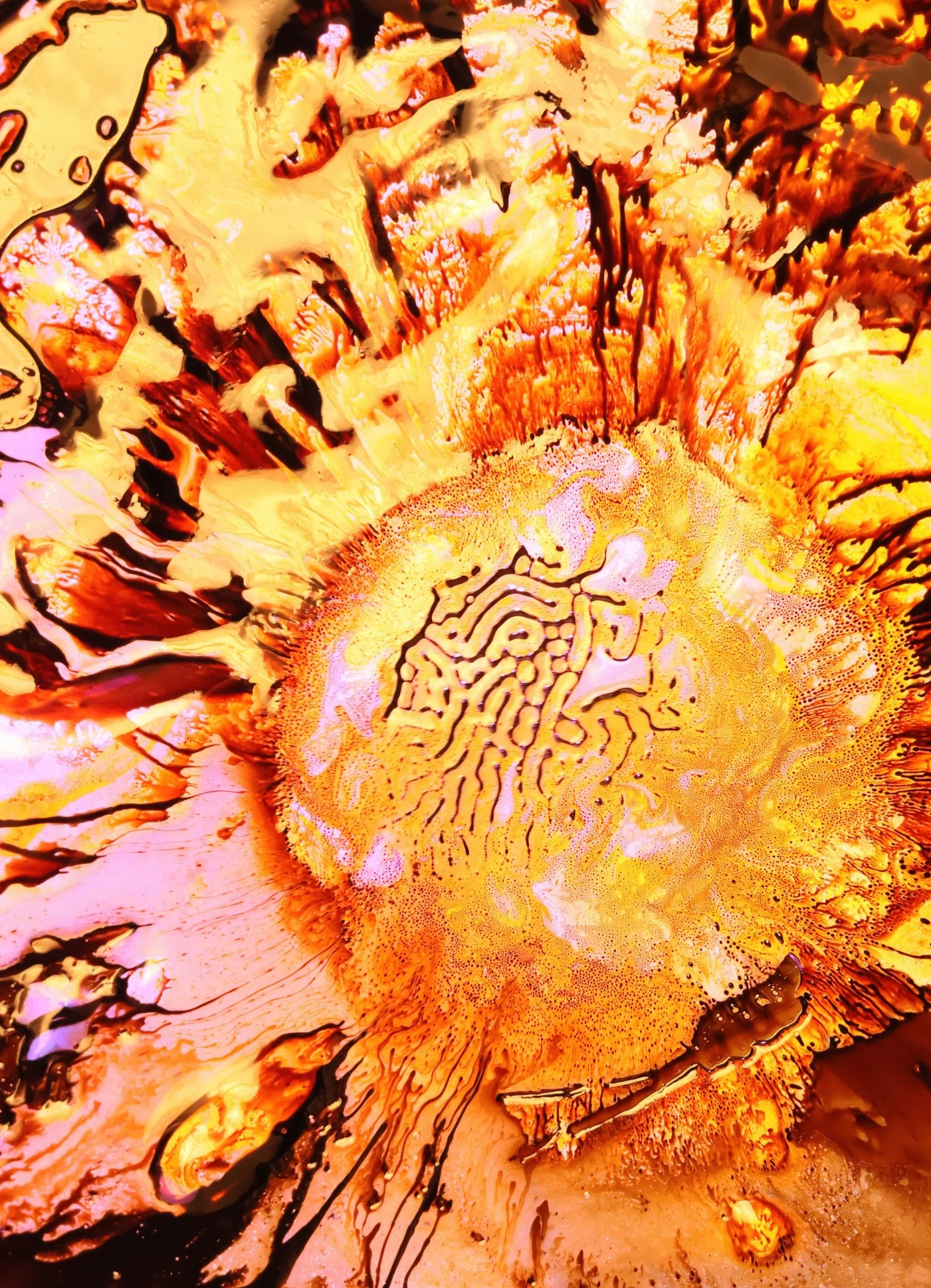 4T7A7442-gigapixel-standard+v2-1x.png (Copy)