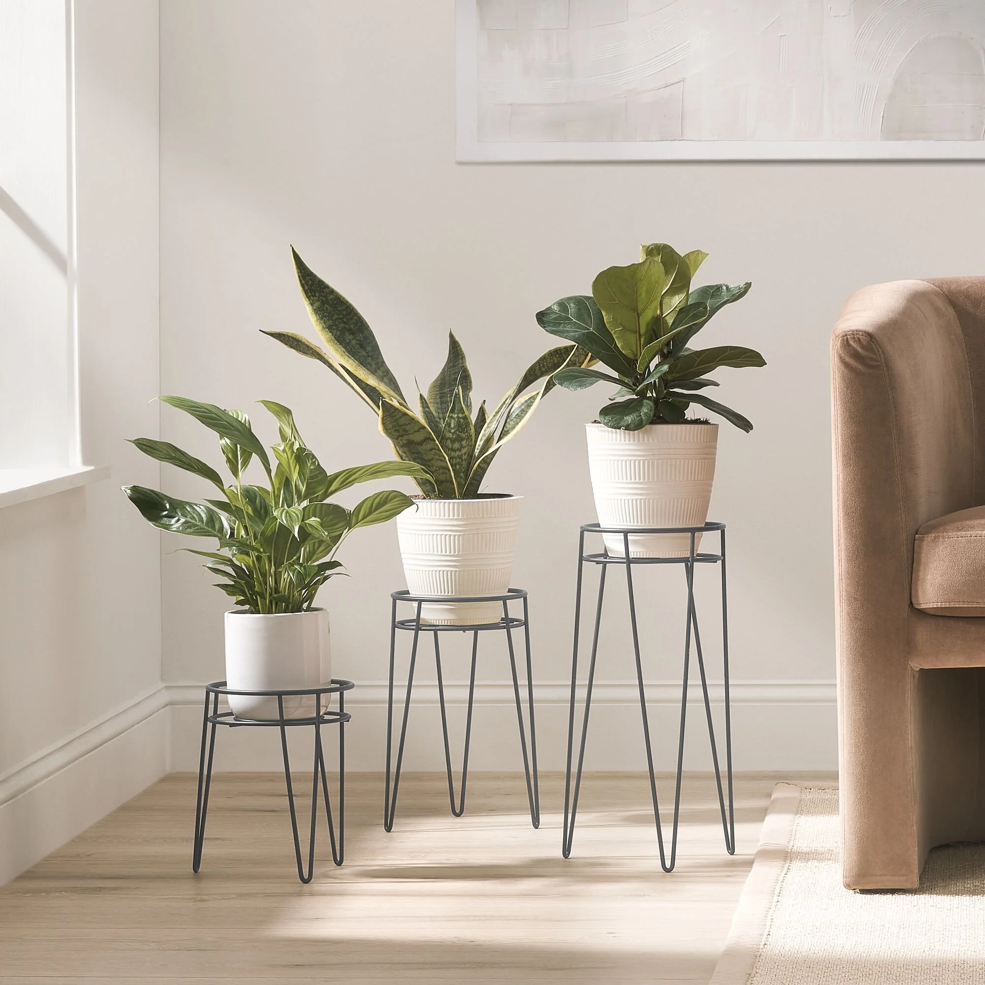 2000_Square_JPG-16818MDHS - Environment.jpg