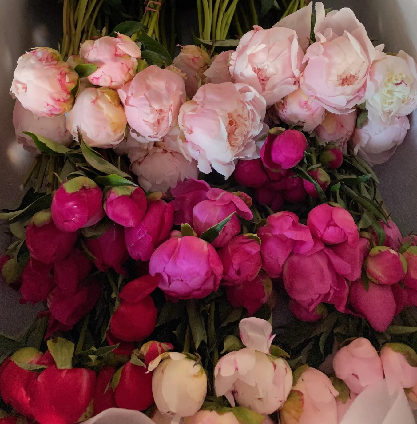 A variety of pink and white peonies arranged together.