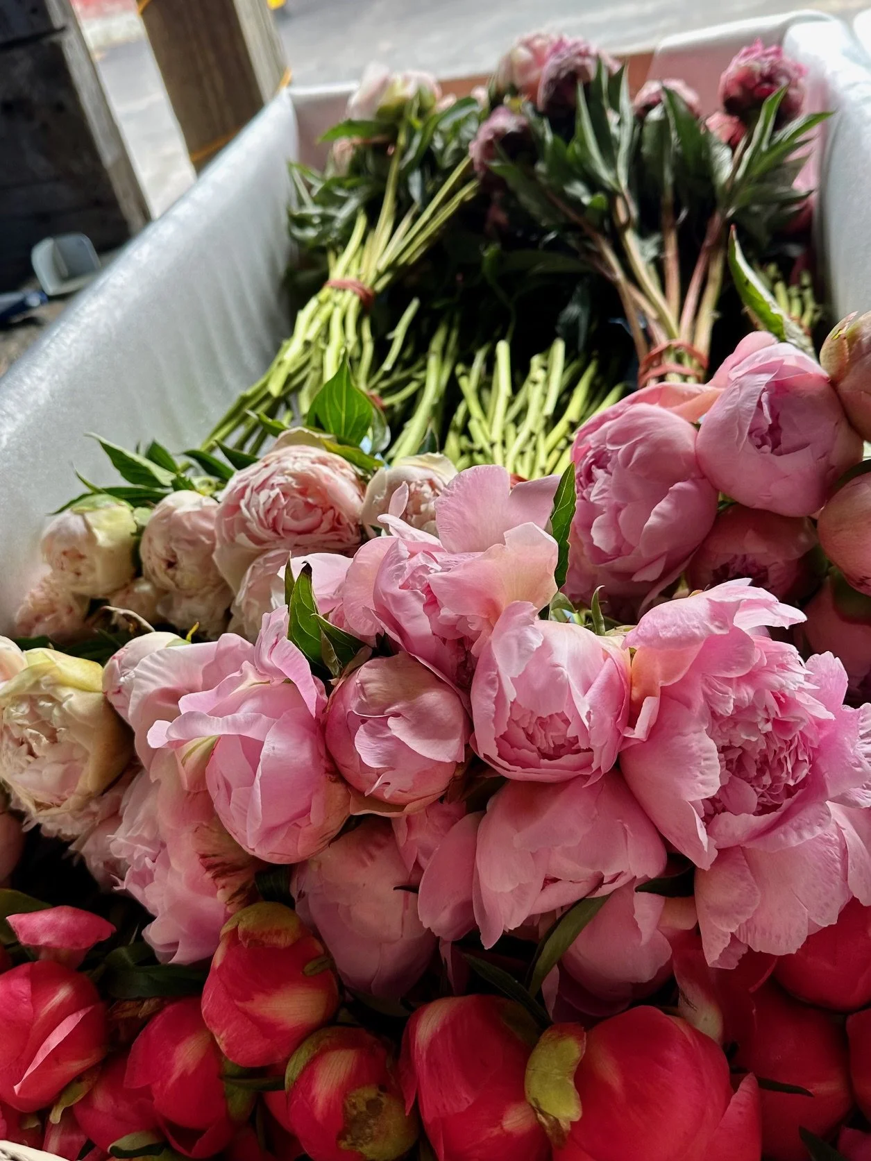 Basket filled with pink peonies and red camellias, with green leaves, on a delivery or display table.