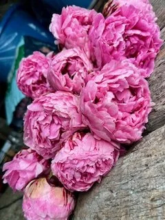 A bunch of pink peony flowers resting on a wooden surface