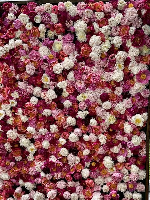 A dense wall of various pink, white, and red flowers, including roses and other floral blooms.