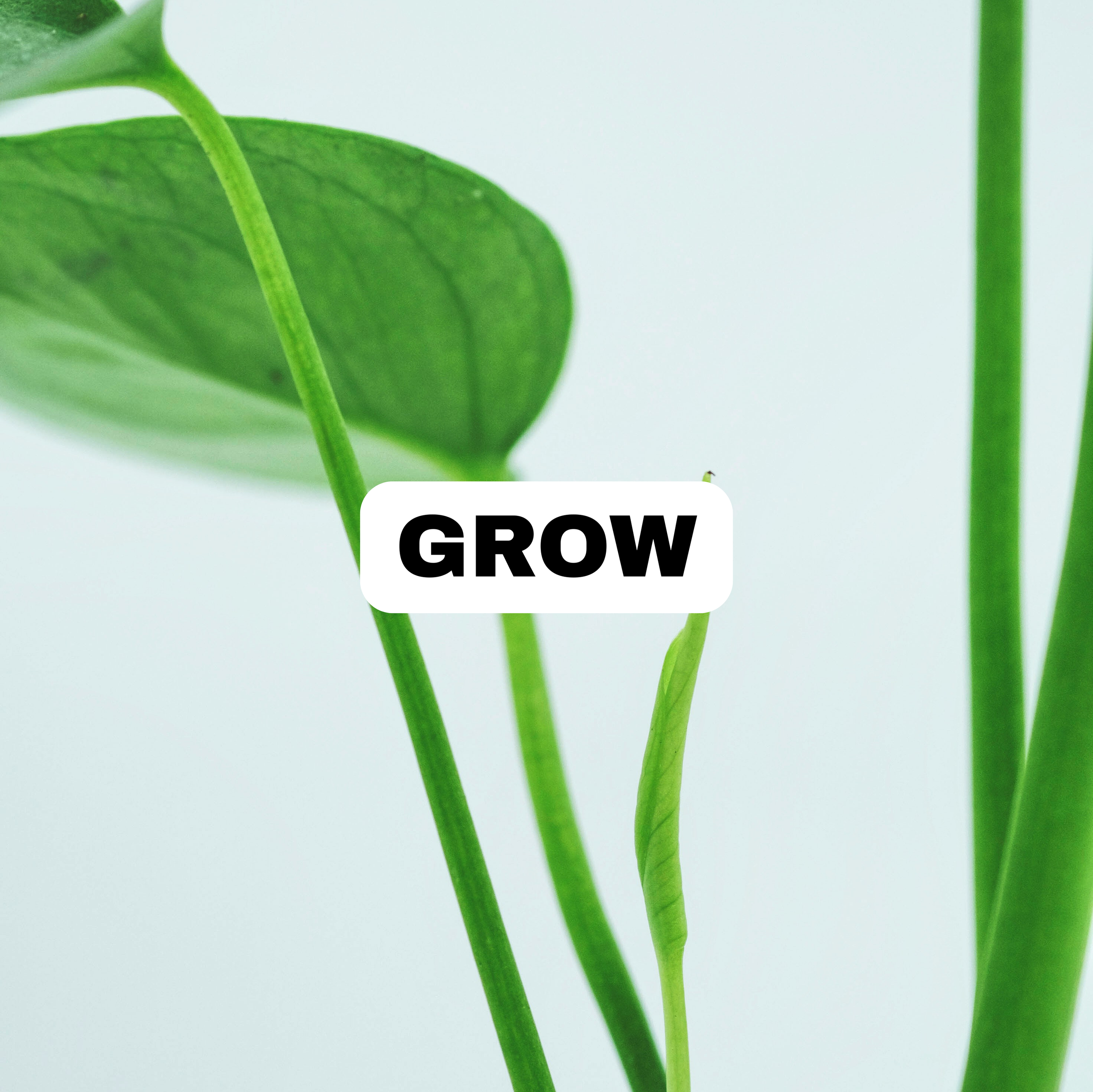 GROW.png