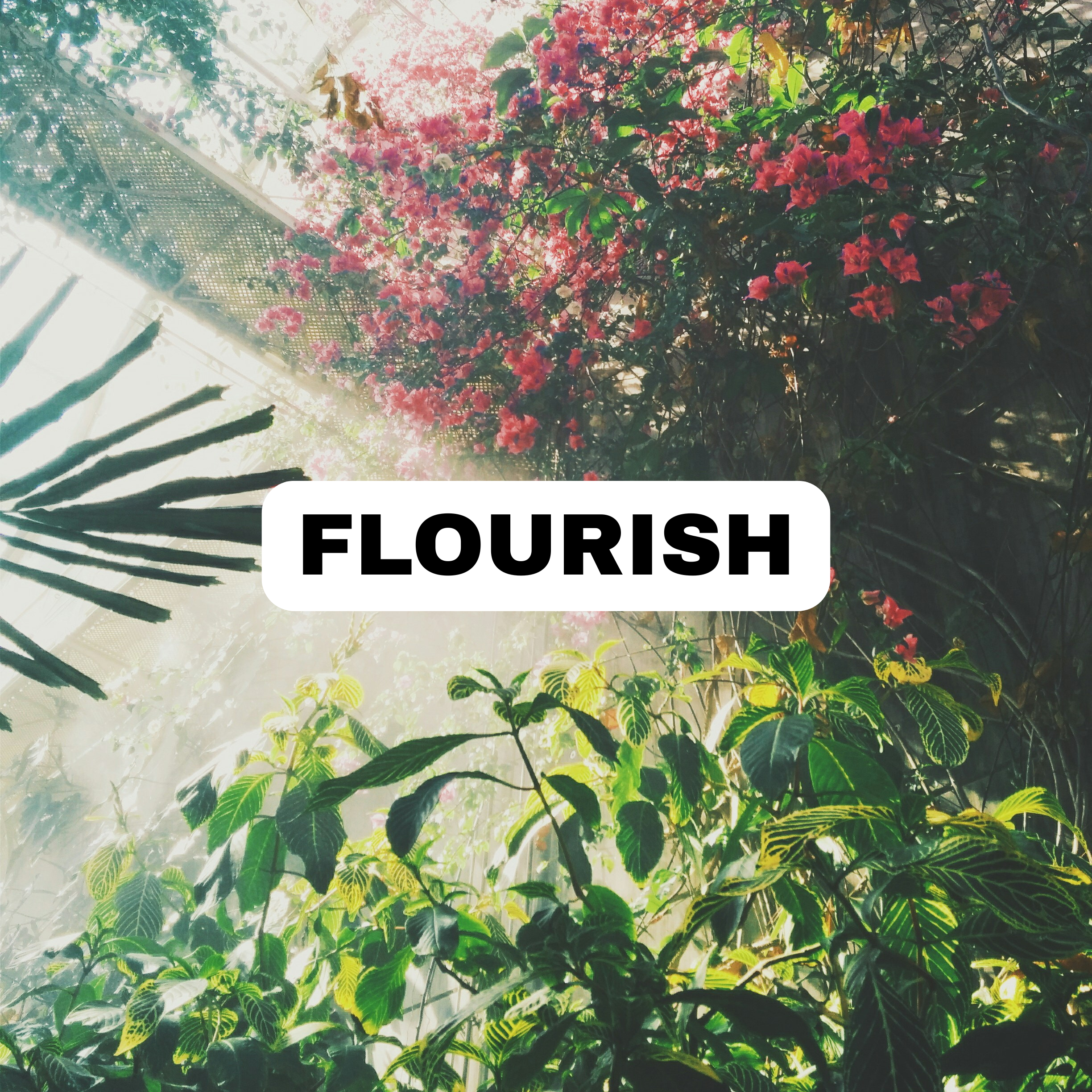 FLOURISH.png