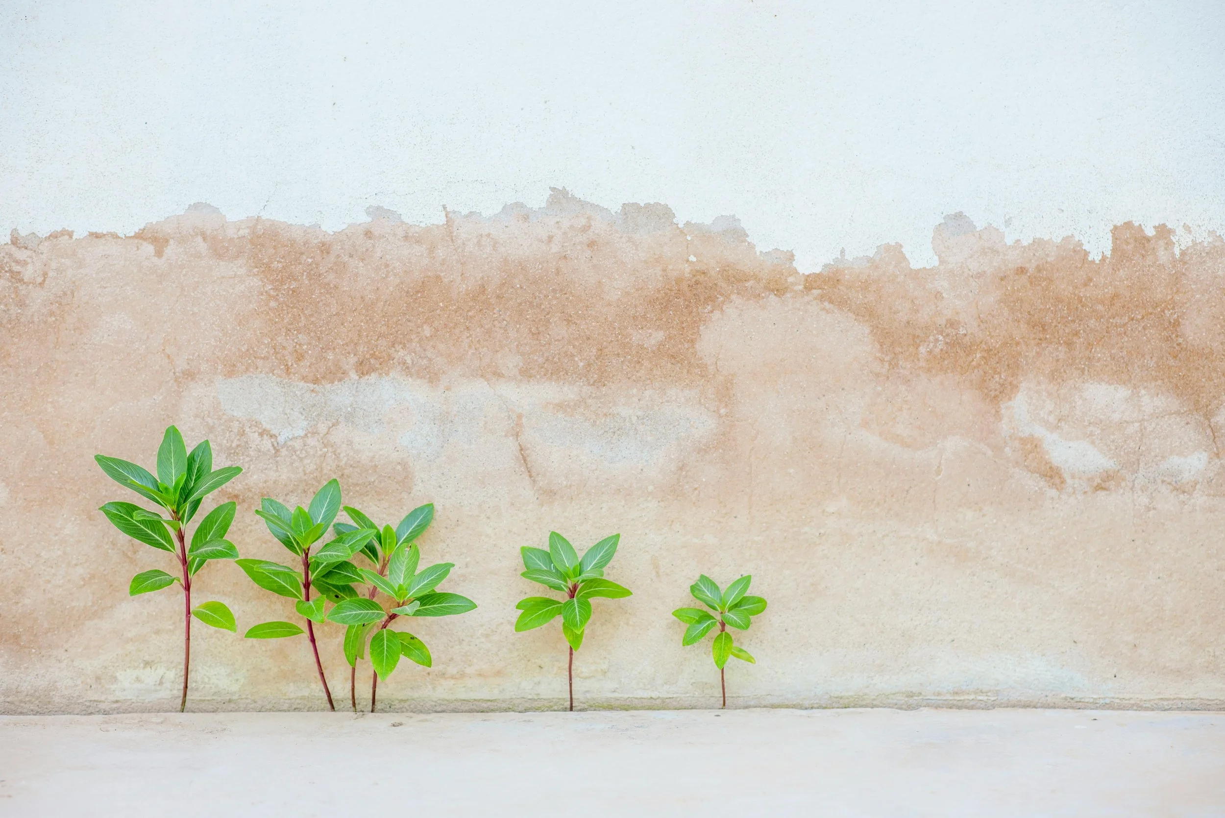 Emotional Growth Can Feel Quiet — And That Can Be Lonely