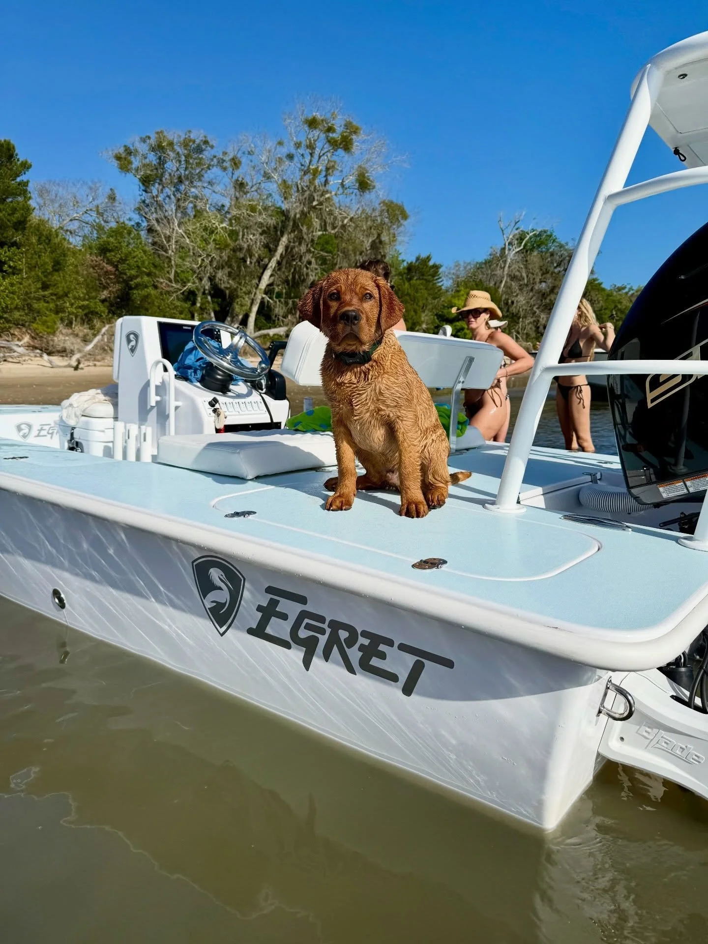 Frankie the Red Lab officially approves of the 18 Egret! Now it&rsquo;s your turn &mdash;&mdash; send us photos of your dog enjoying life on board your Egret!
&bull;
&bull;
#EgretBoats#FlatOutTheBest#18Egret