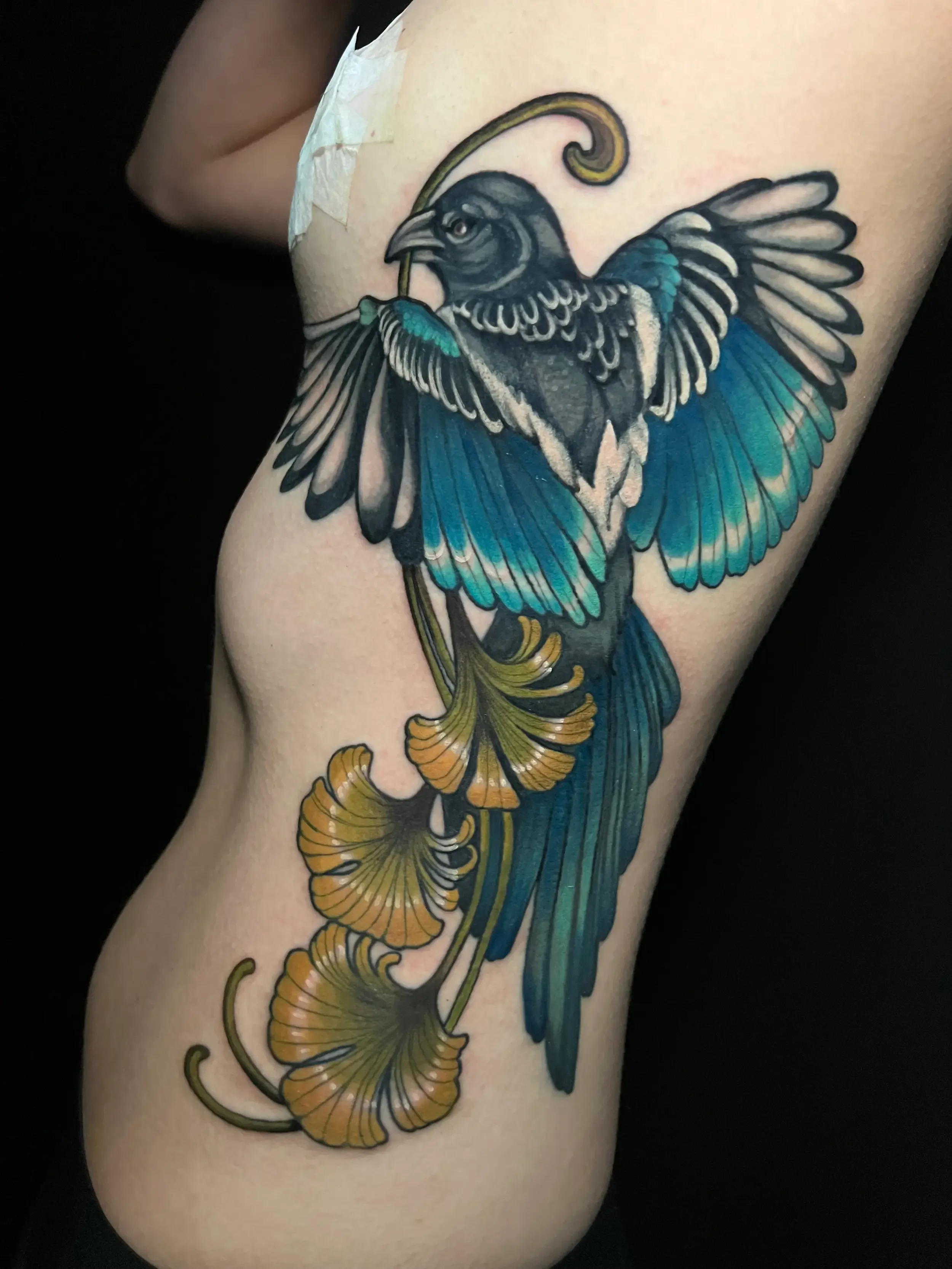 A colorful illustrative tattoo of a bird with outstretched wings, perched on a branch with orange and yellow ginkgo leaves. Done by female tattoo artist Dana Carlson in Virginia.