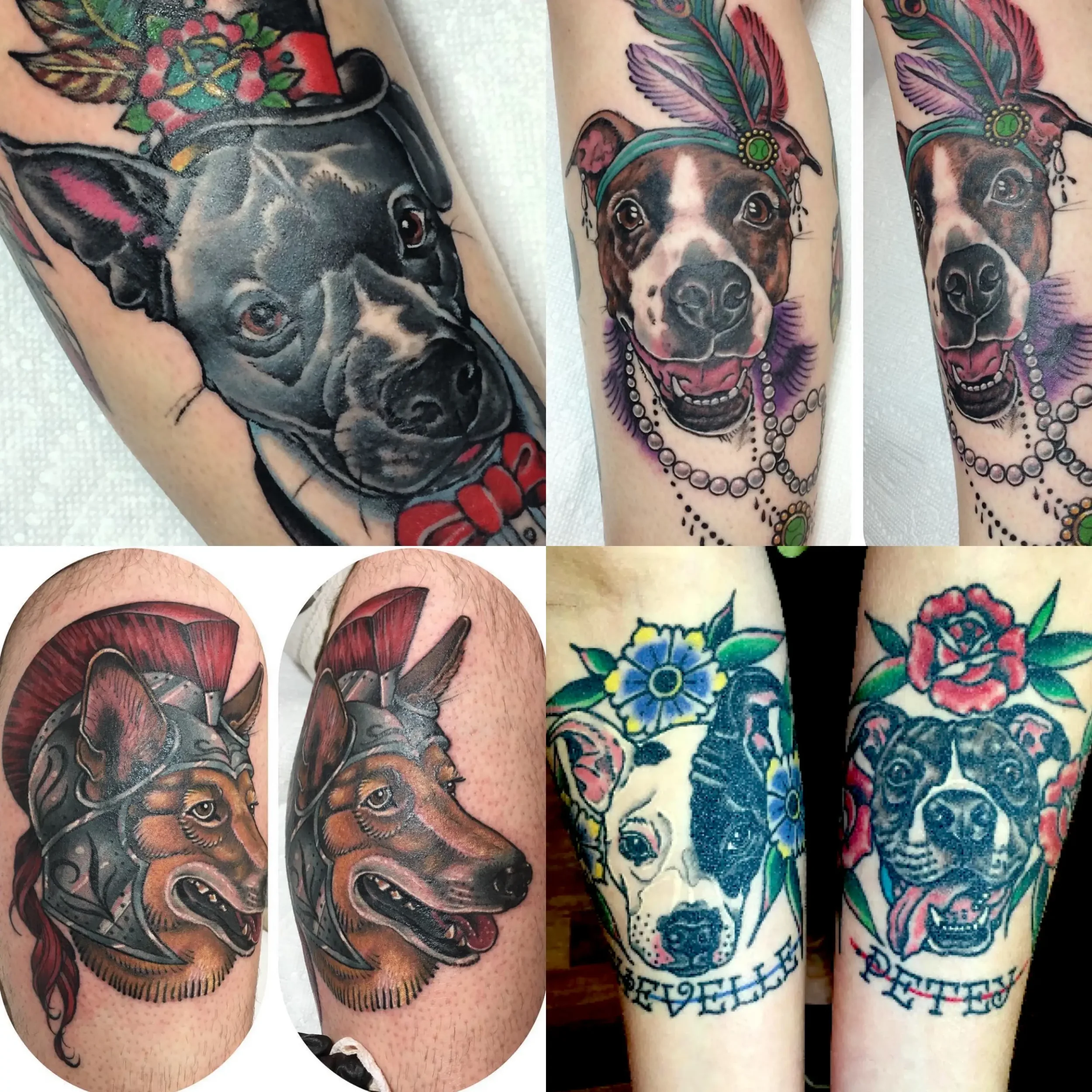 Collage of six different tattoos featuring various dog pet portraits. Custom designs by Jess, tattoo artist in Richmond, Virginia.