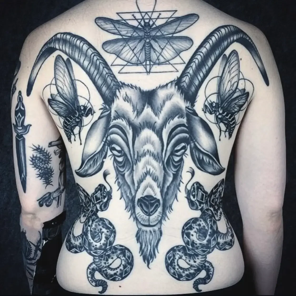 Black and gray full back tattoo of a goat's head with large curved horns, surrounded by insects, snakes, and a dagger in a gothic illustrative style.  Custom design by Jess, tattoo artist in Richmond, Virginia.