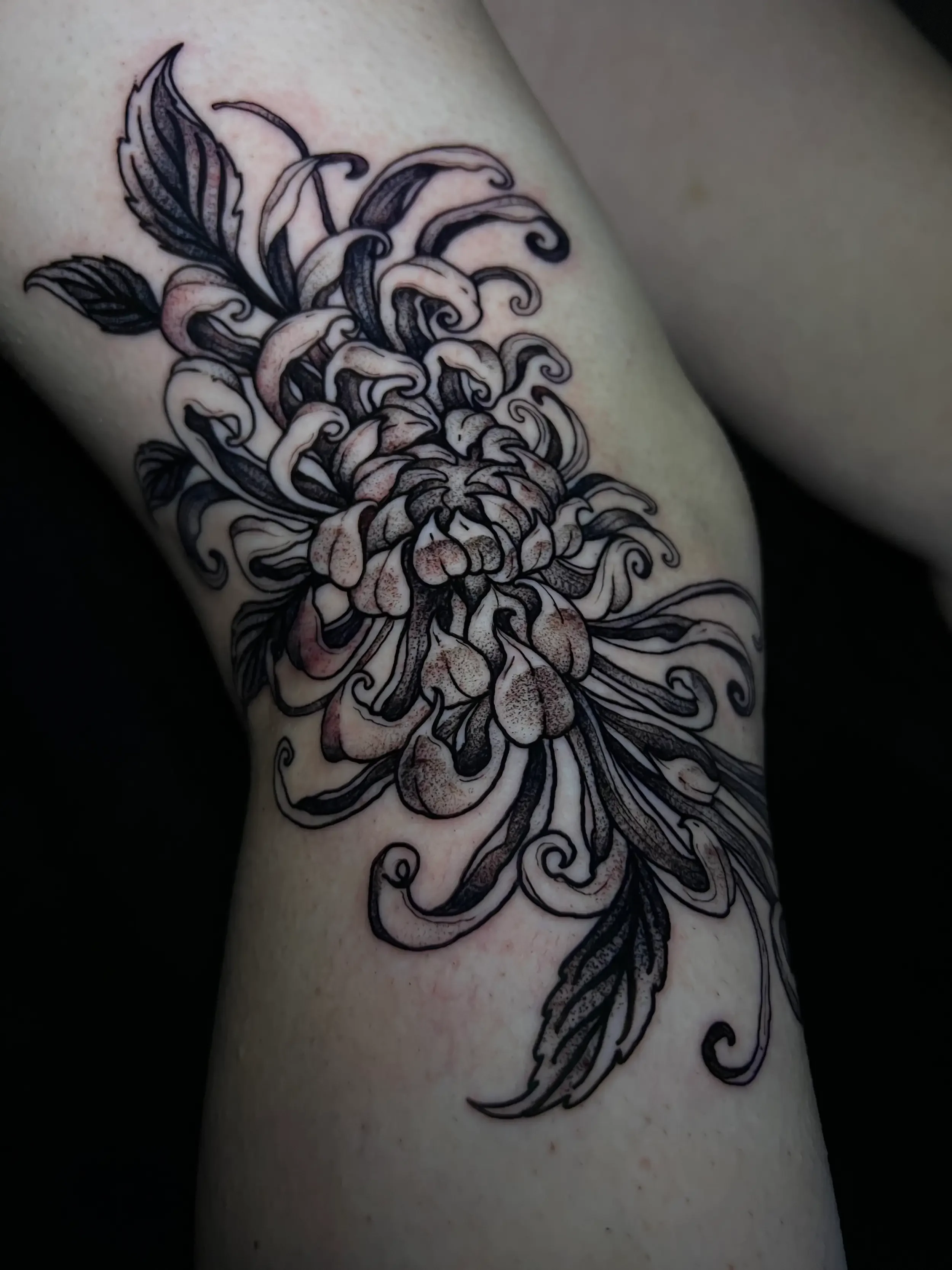 Illustrative chrysanthemum floral knee tattoo.  Done by female tattoo artist Dana Carlson in RVA.