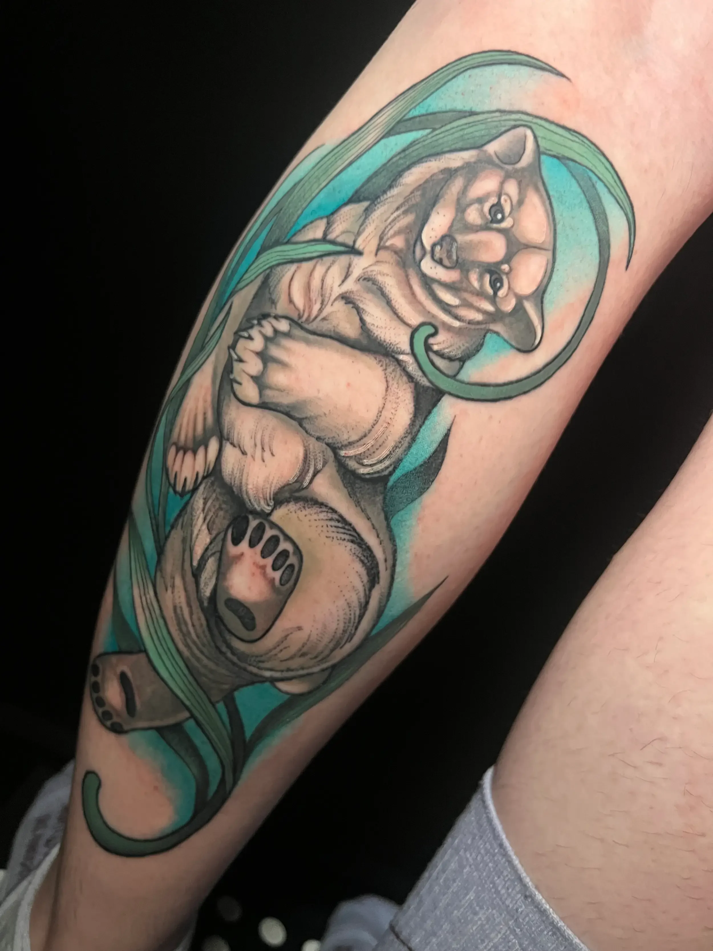 Custom tattoo of a polar bear surrounded by blue and green. Custom Design by female tattoo artist Dana Carlson in RVA.