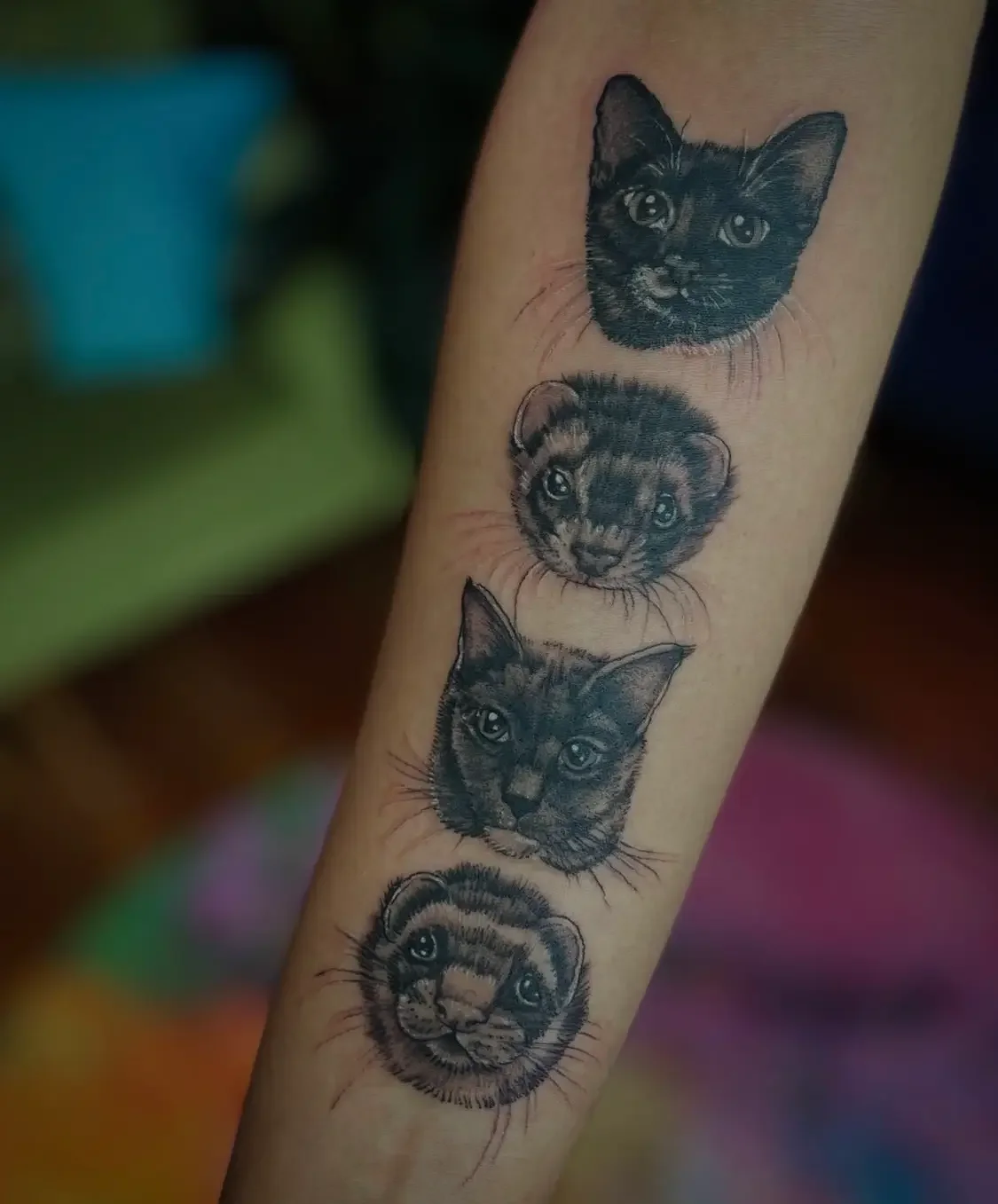 Tattoo of four realistic pet portraits including a cats and ferrets. Custom design by Jess, tattoo artist in Richmond, Virginia.