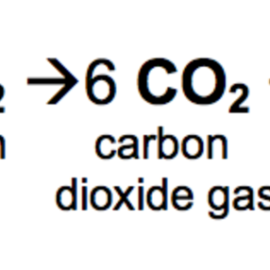 Carbon Dioxide is Your Friend