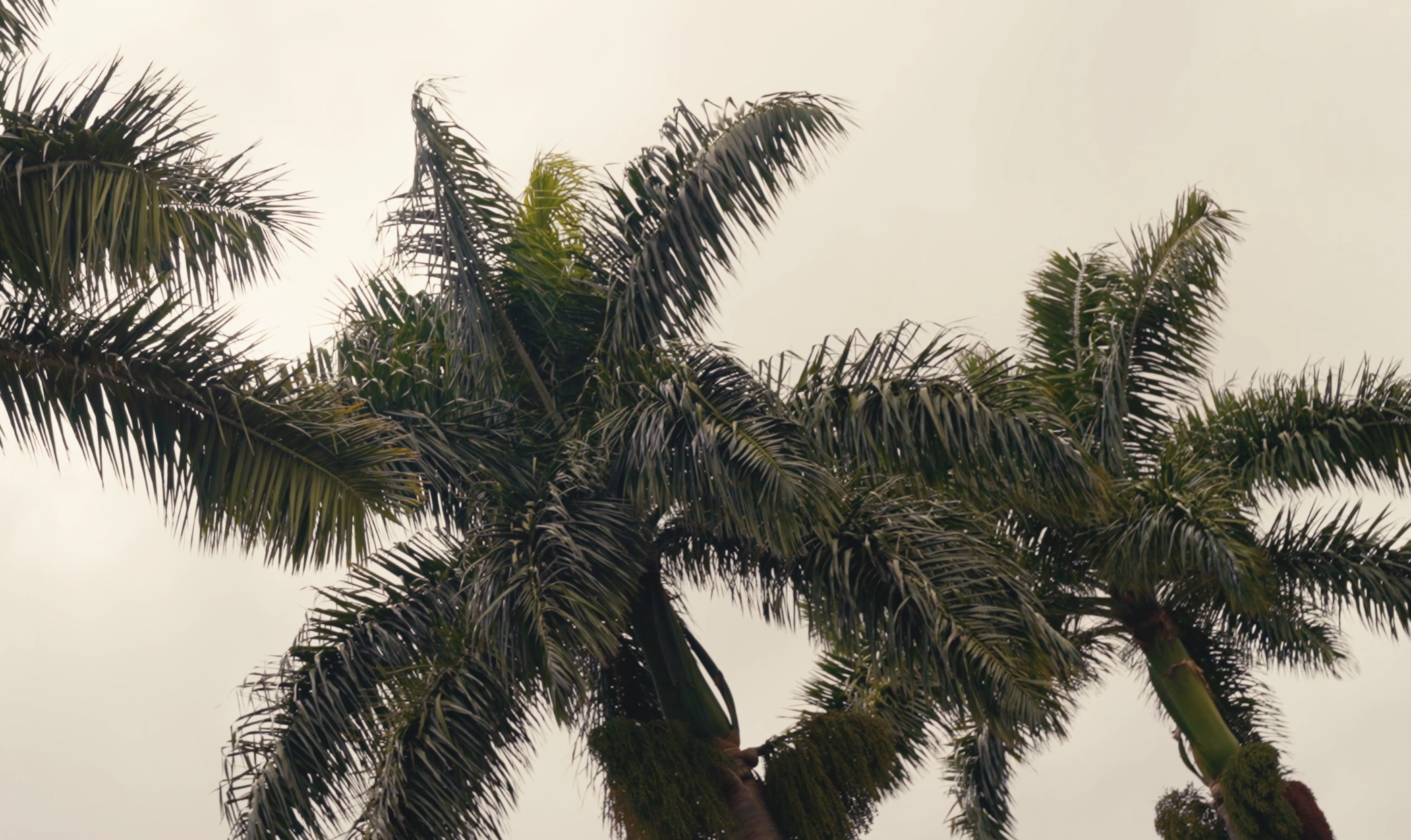 Screenshot 2026-03-28 at 6.00.35 PM.png