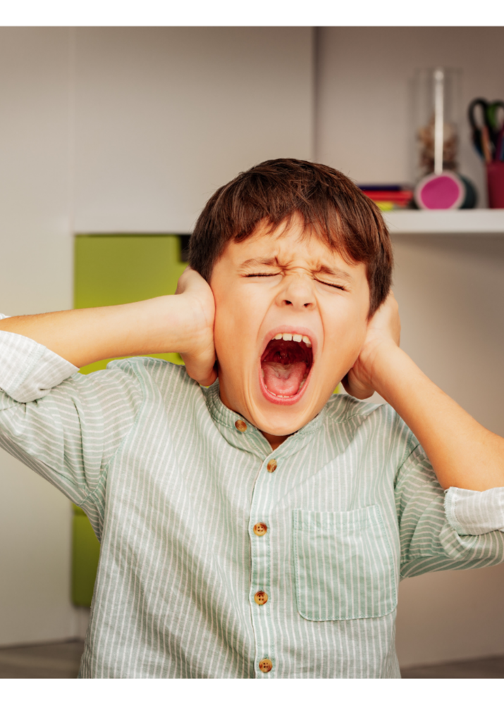 Challenging+Behavior.png