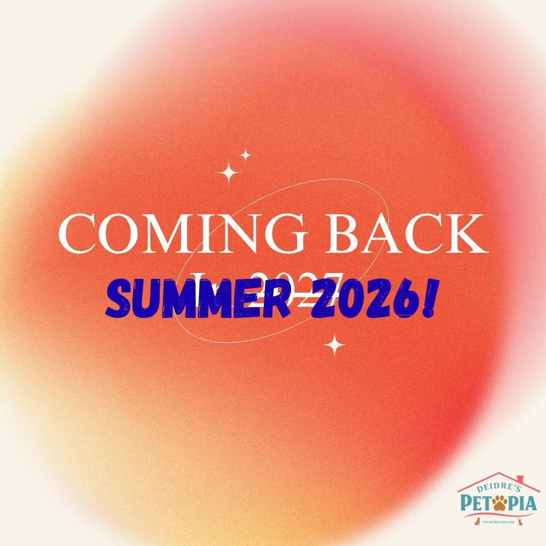 📣 UPDATE 📣

I know I said I&rsquo;ll start dog sitting again in January, but since I&rsquo;ll be back in June, I might as well start loving on fur babies early!

Please refer to my pinned posts from this past July for my new rates and policies!

I 