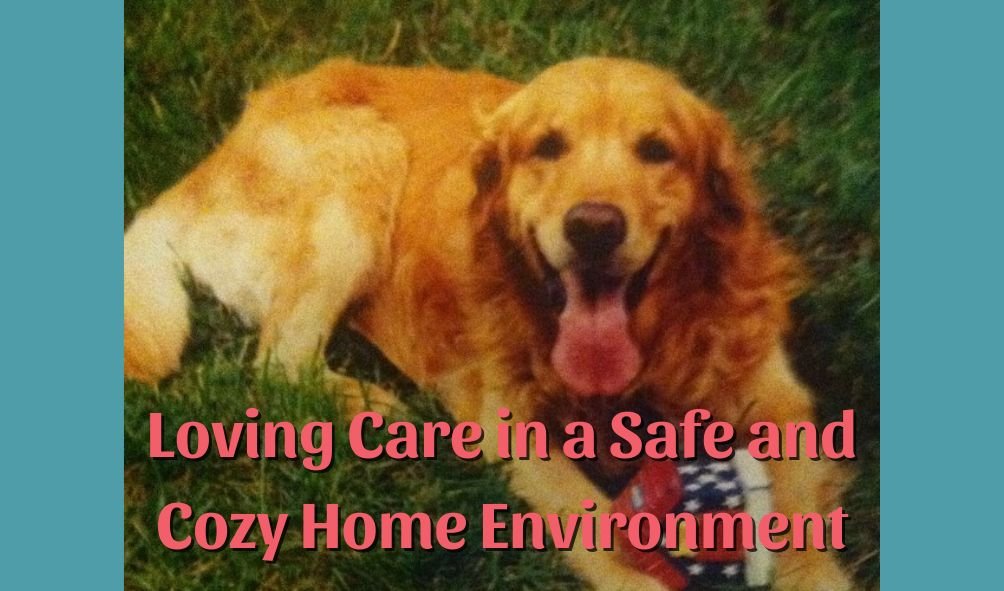Golden retriever lying on grass, smiling with tongue out, wearing a bandana, with text 'Loving Care in a Safe and Cozy Home Environment' in pink font.