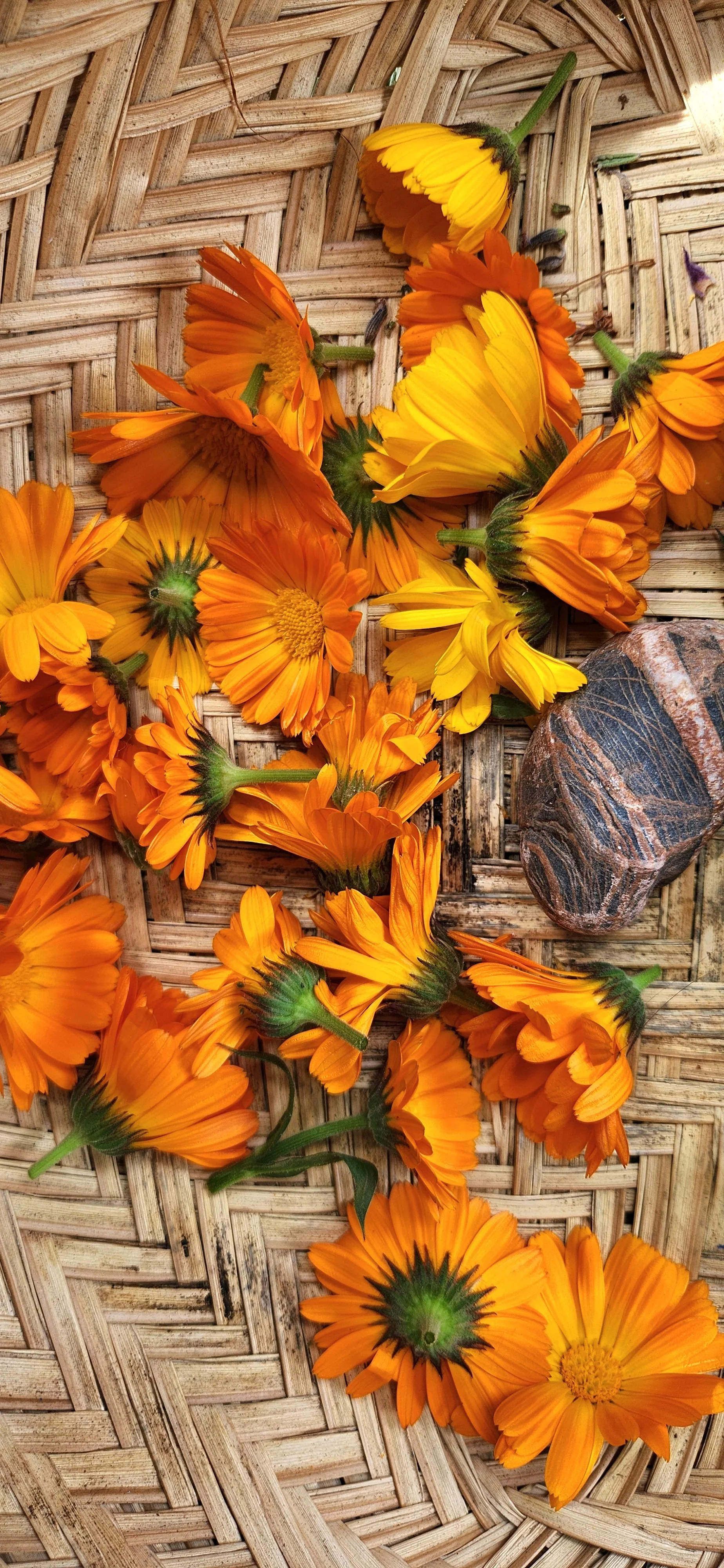 A collection of orange and yellow flowers, possibly marigolds, scattered on a woven basket with a striped stone rock placed among them.