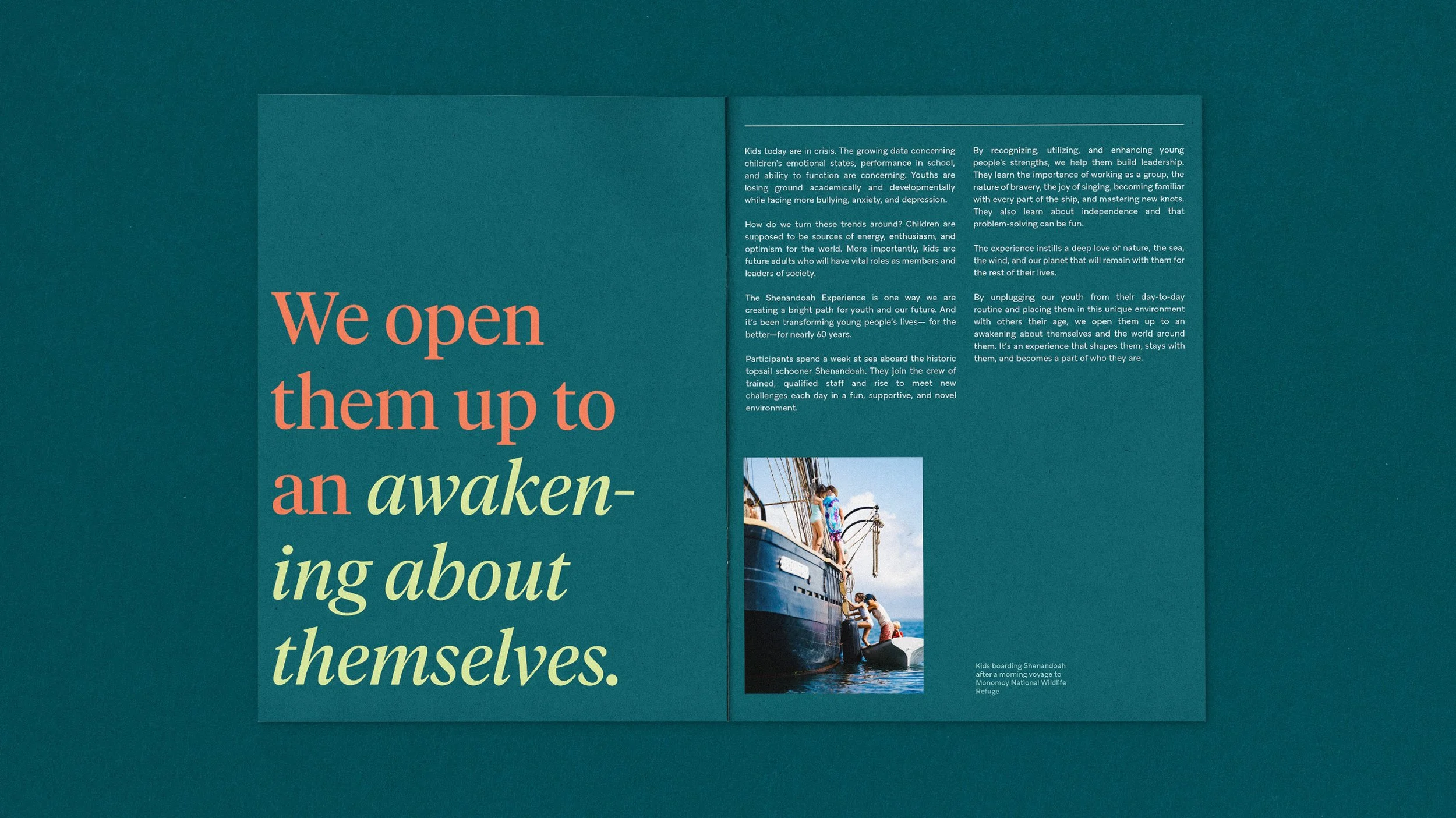 mvoa_zine_mockup_8.jpg