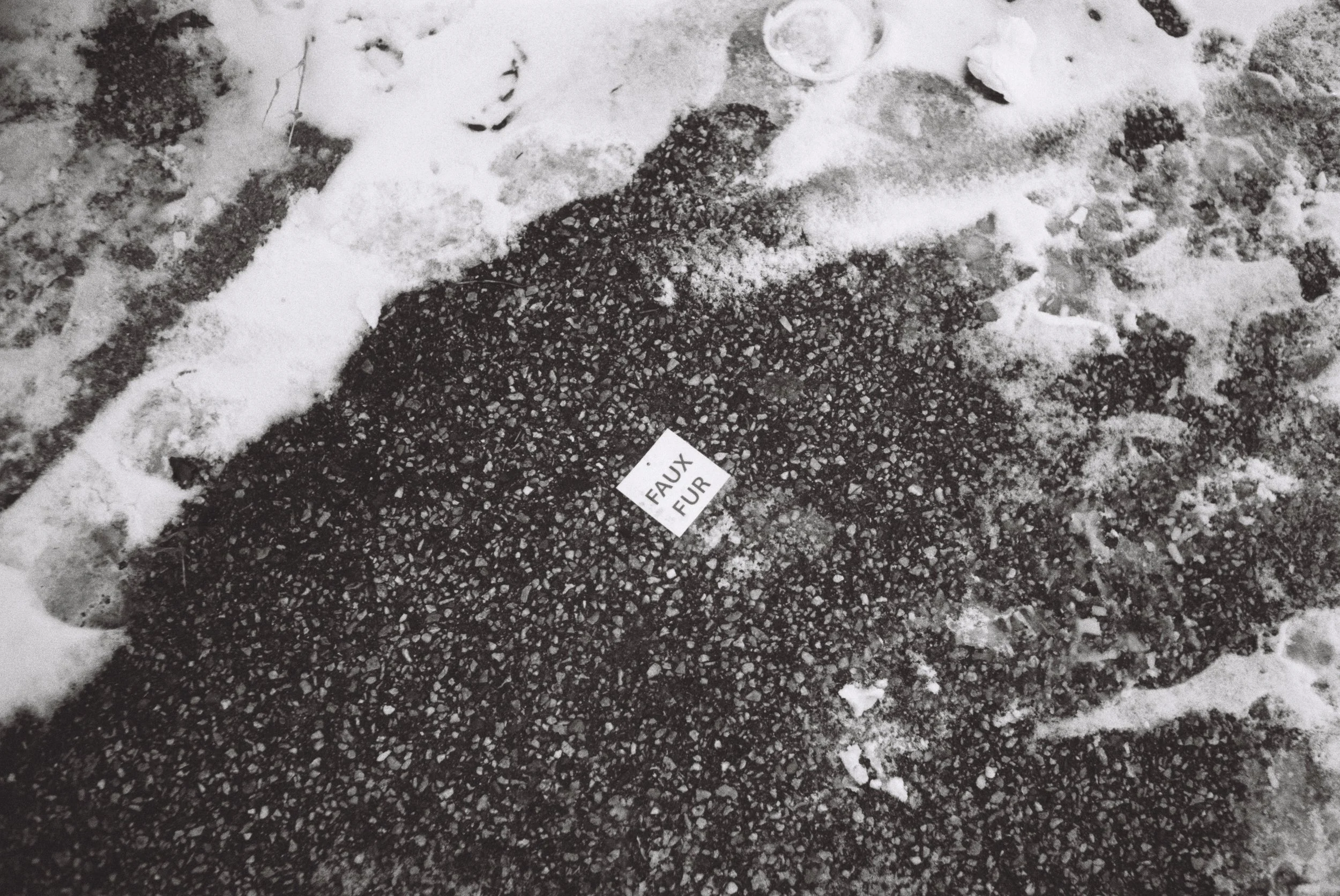EX0766004531-R1-E013.jpg