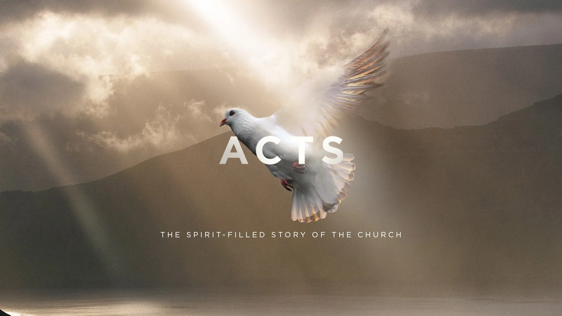 “Witnesses of the Risen King" - Week 1 | Acts 1:1-11