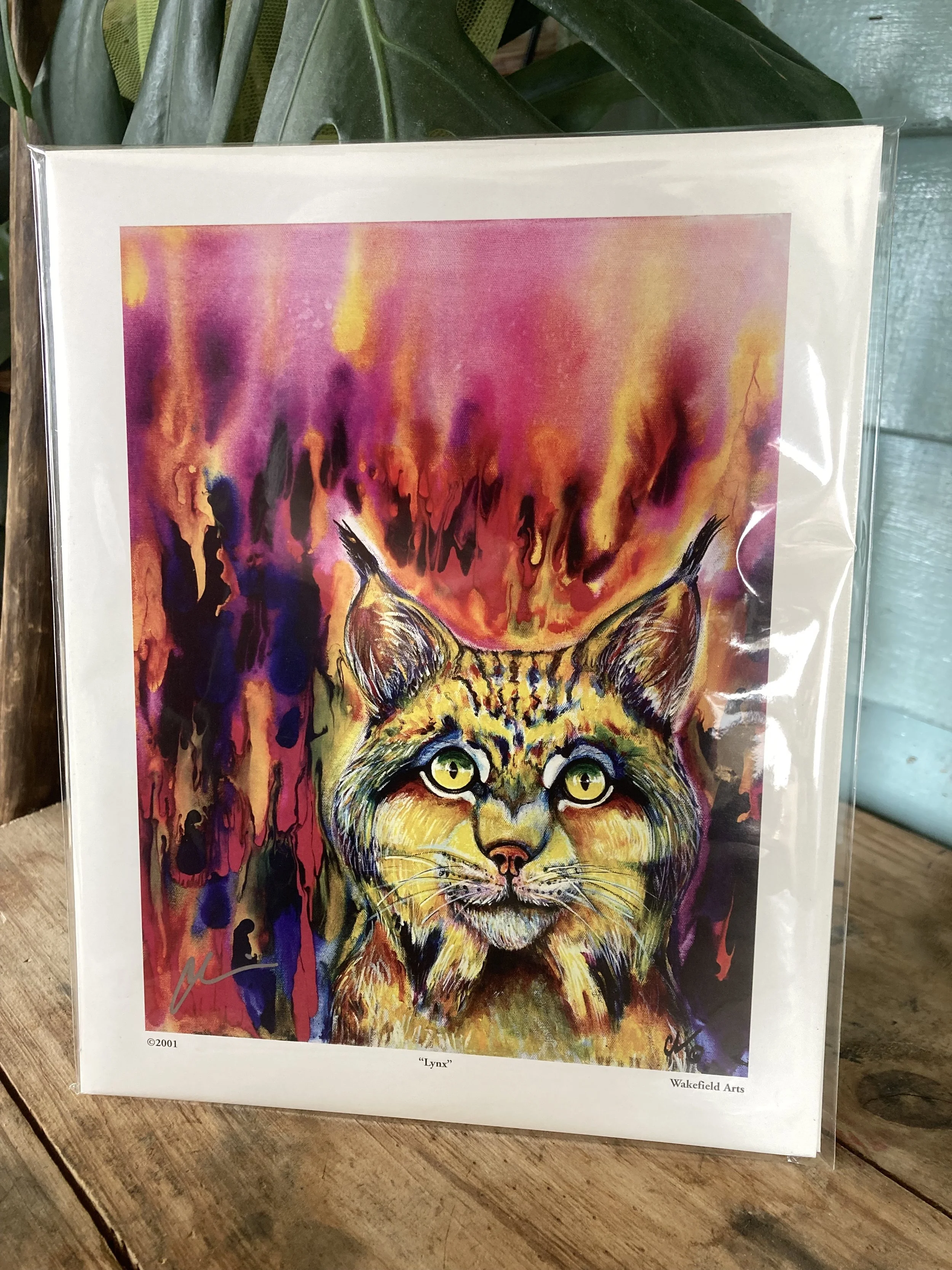 Lynx Mini Print 1.jpg
