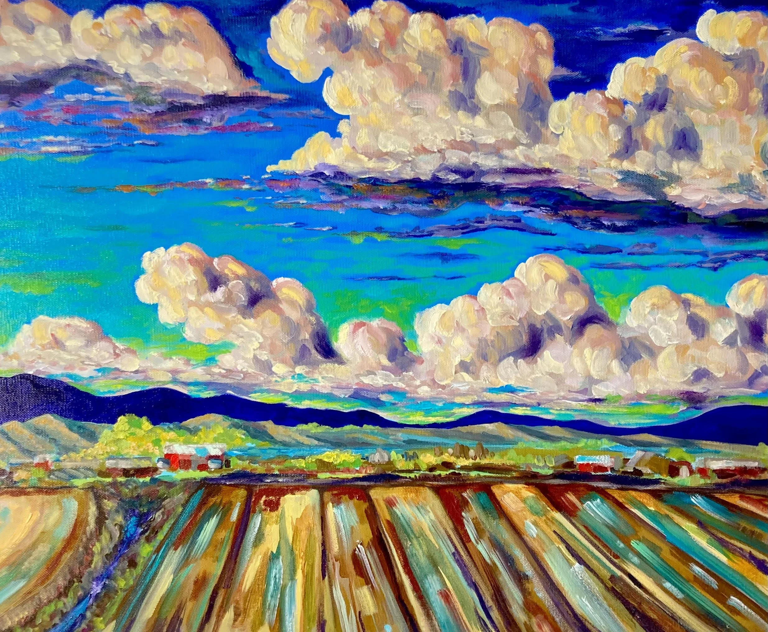 The Fields Of Home.jpg