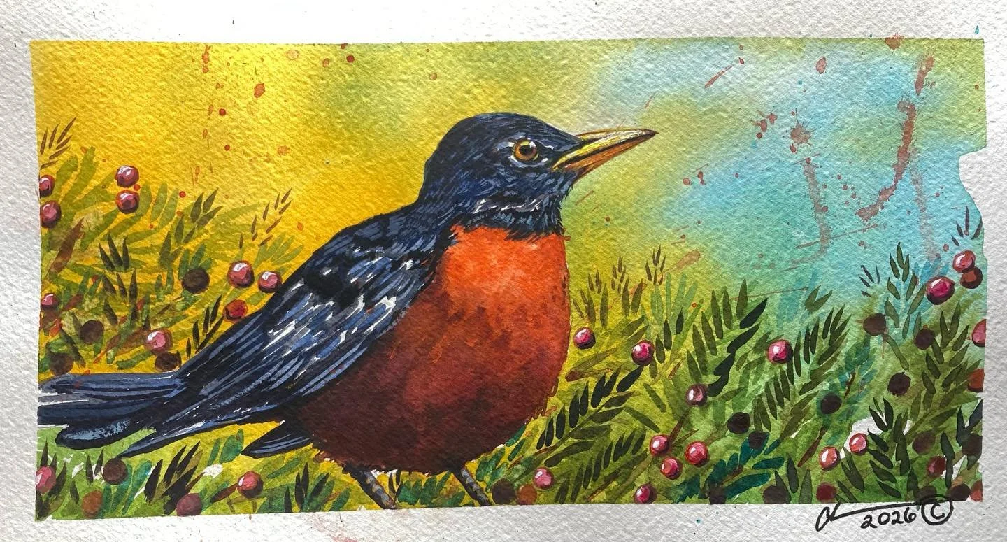 Here comes the robins summertime!!! Watercolor Chris, Wakefield