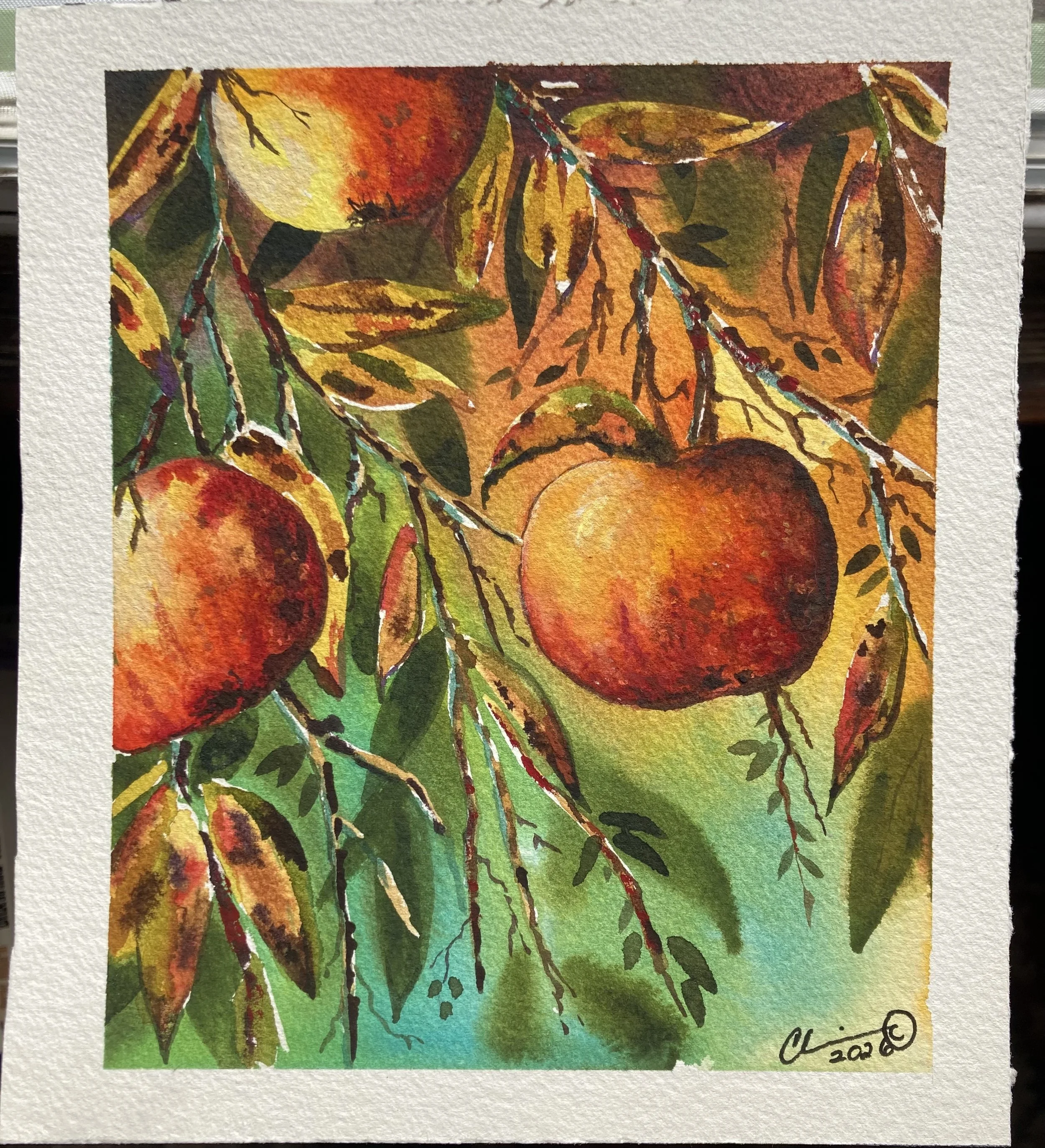 Autumn Apples original watercolor.jpg