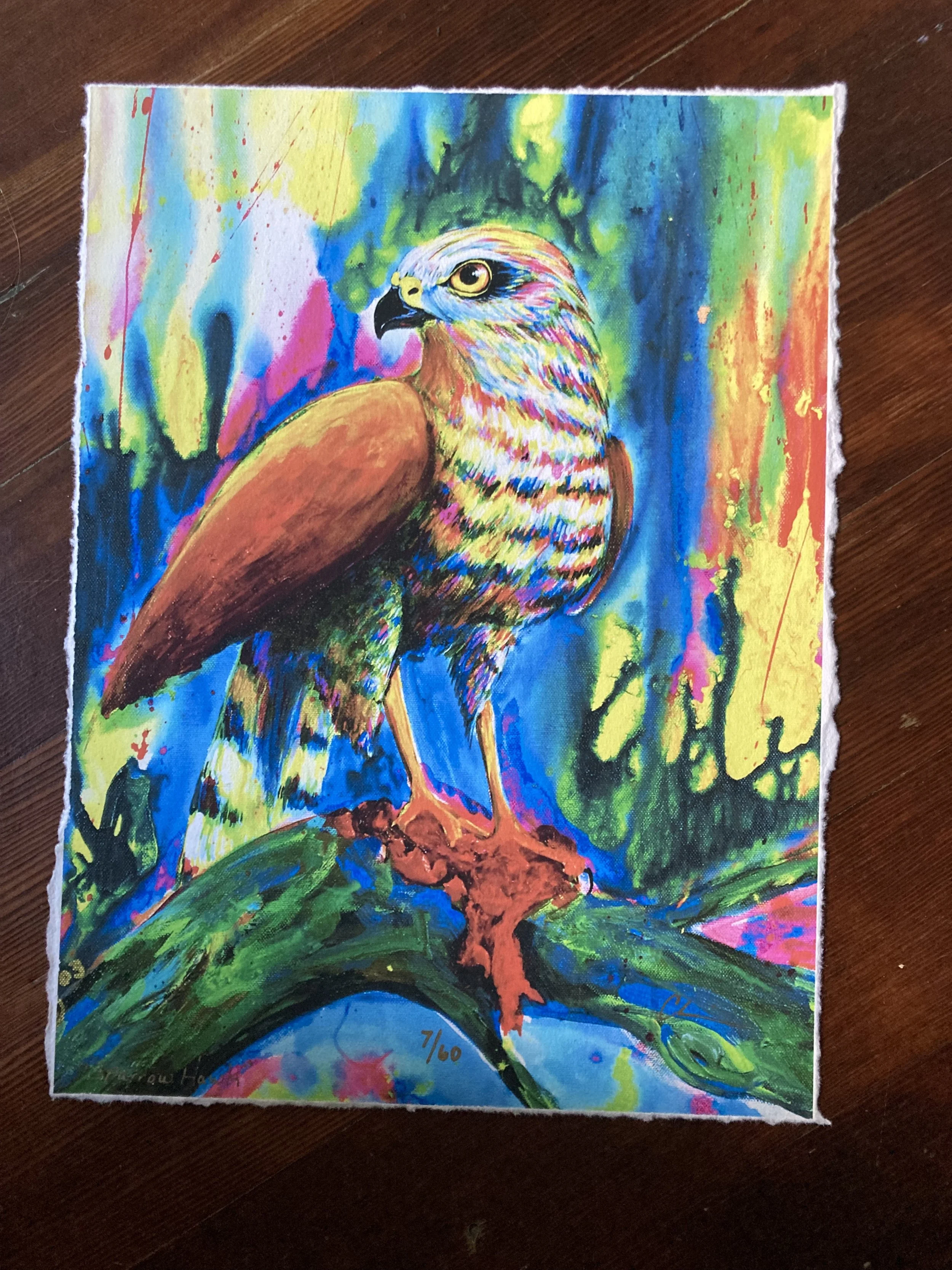 Sparrowhawk Limited Edition Print.jpg