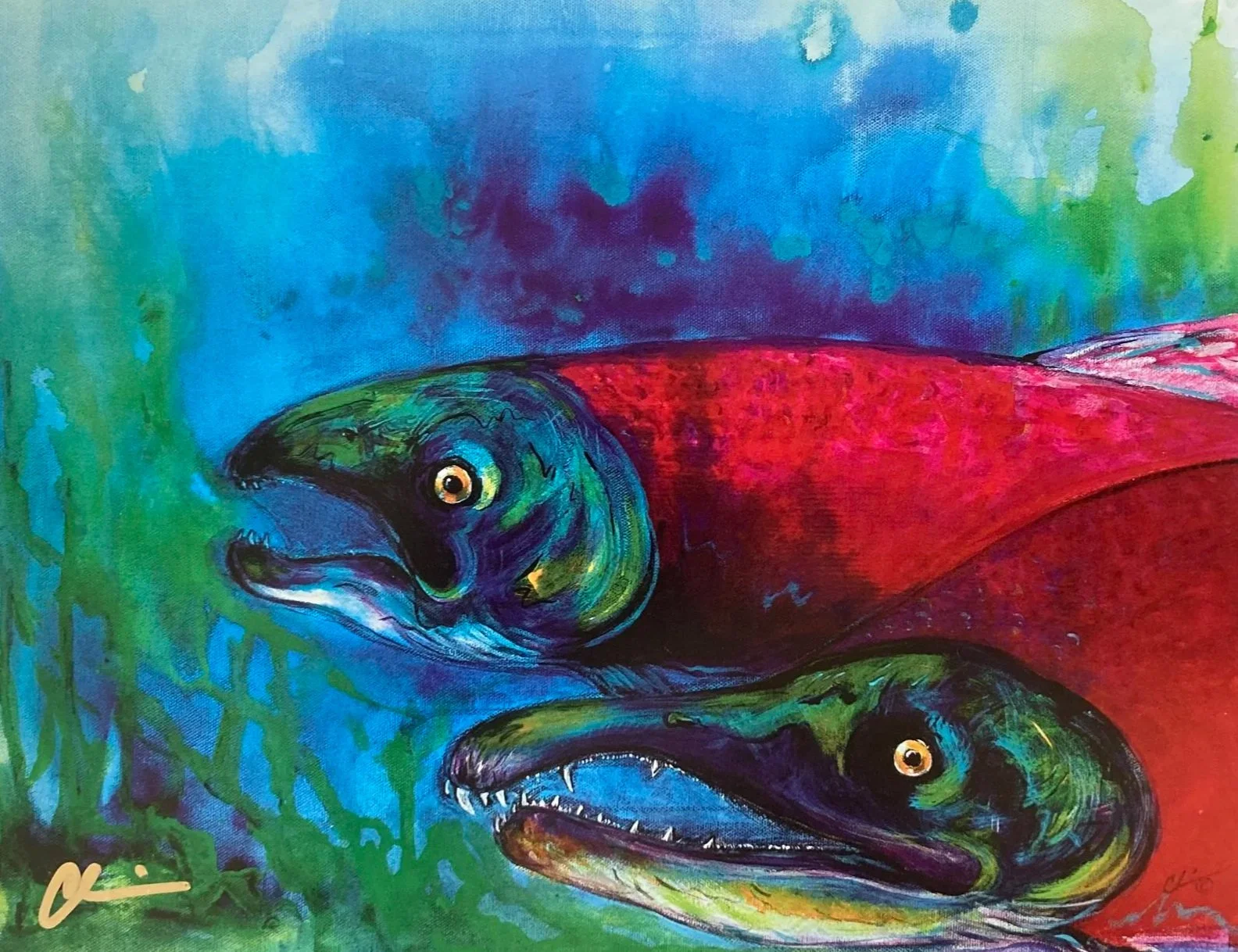 "Salmon"