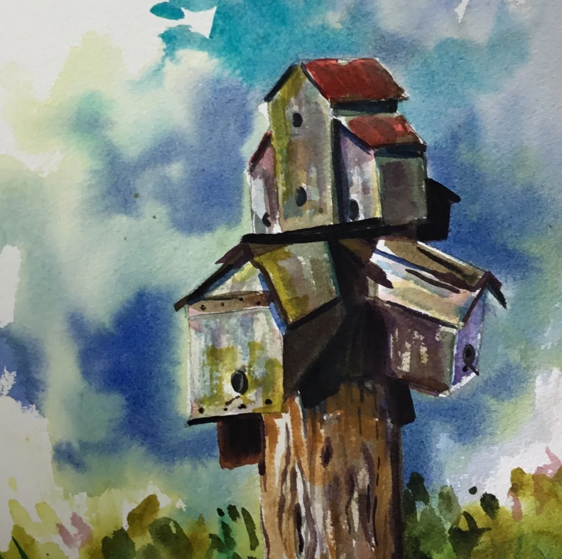 "Bird Houses" original watercolor