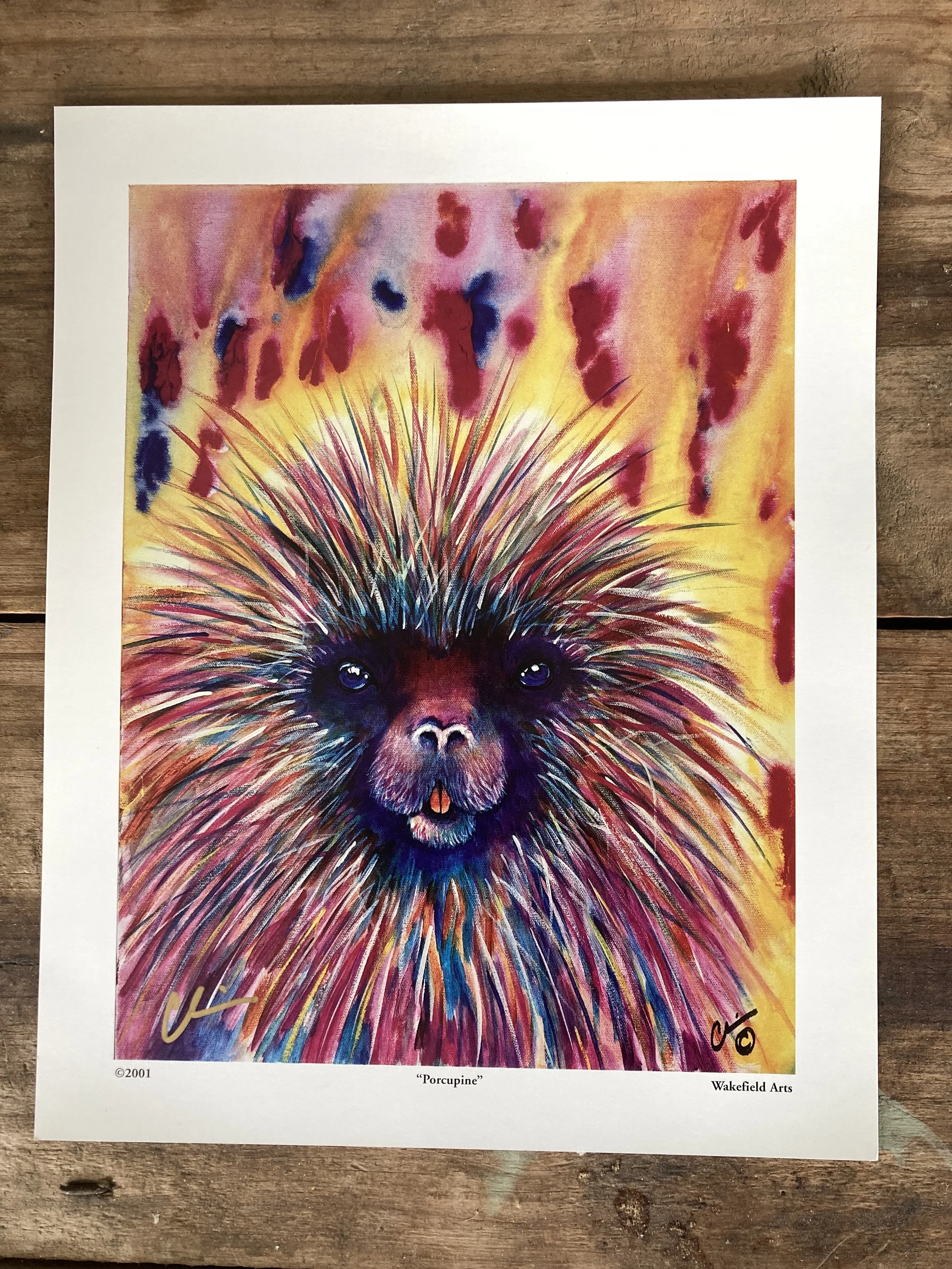 Porcupine Mini Print.jpg