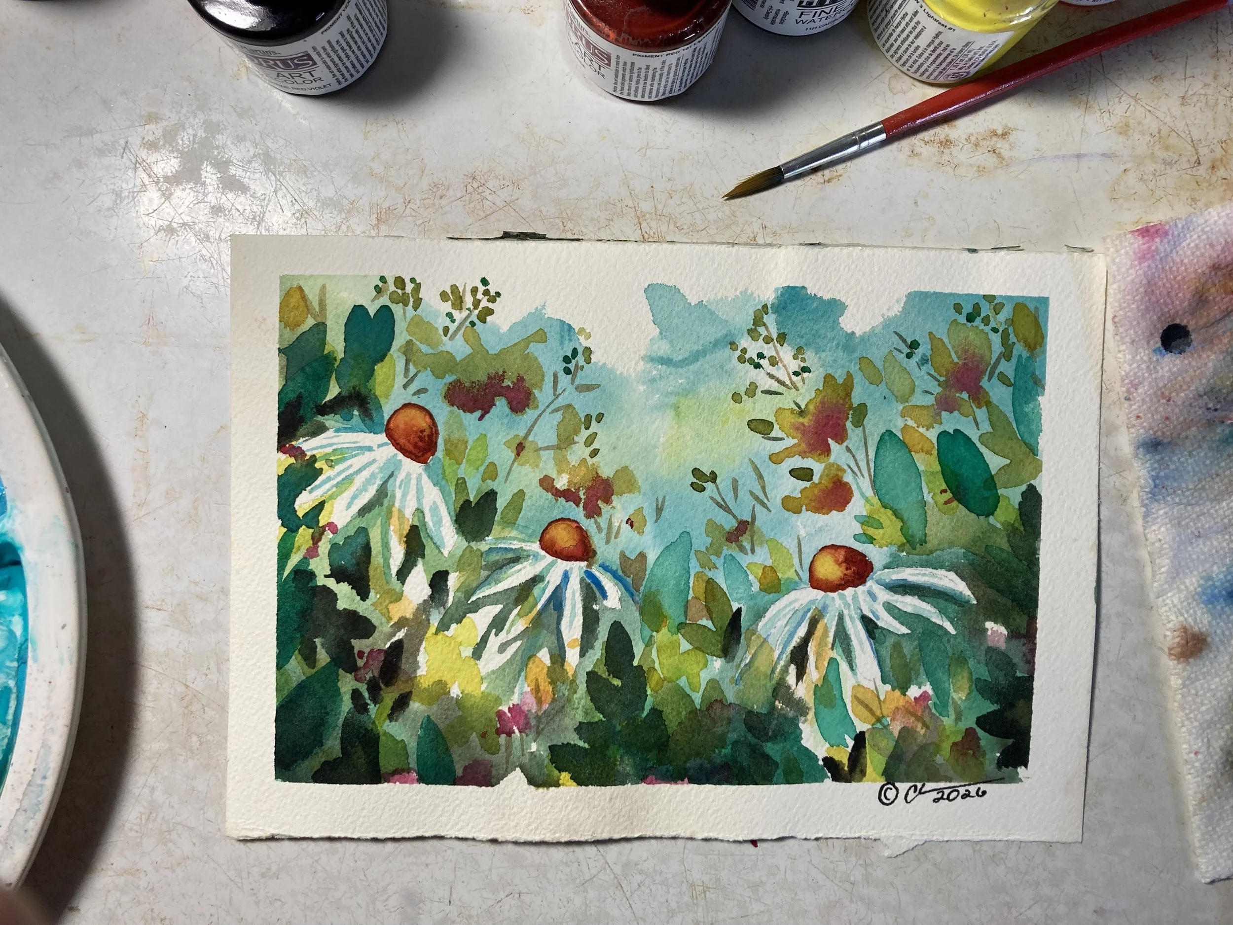 Daisy Days watercolor.jpg