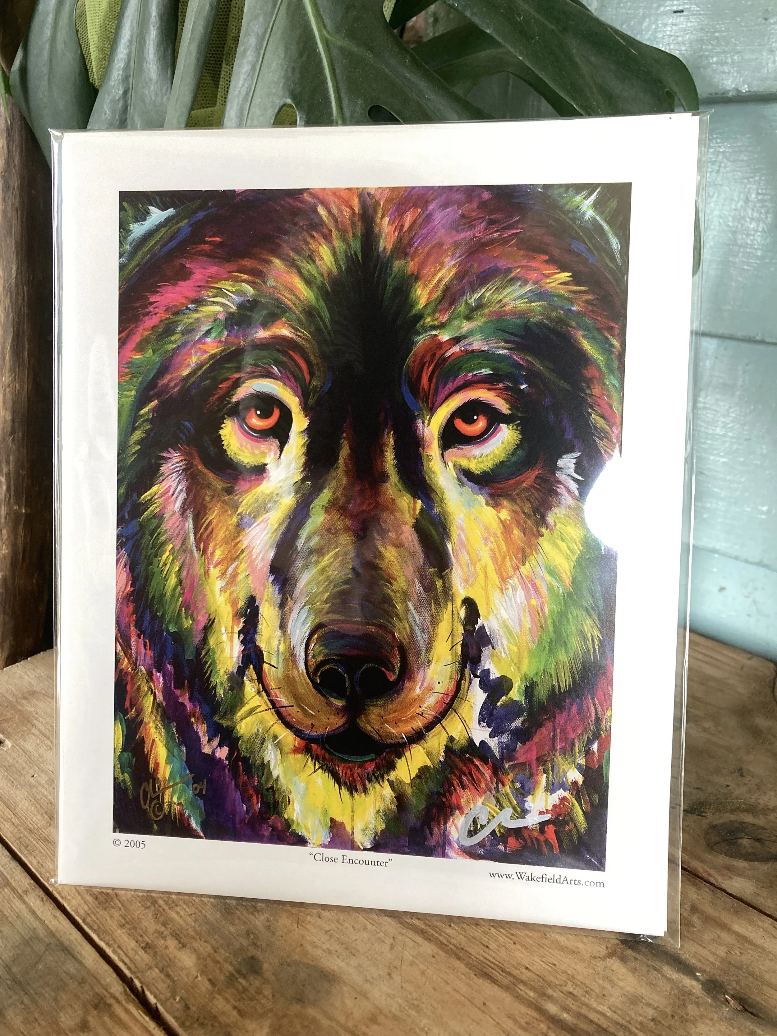 Close Encounter Mini Print 1.jpg