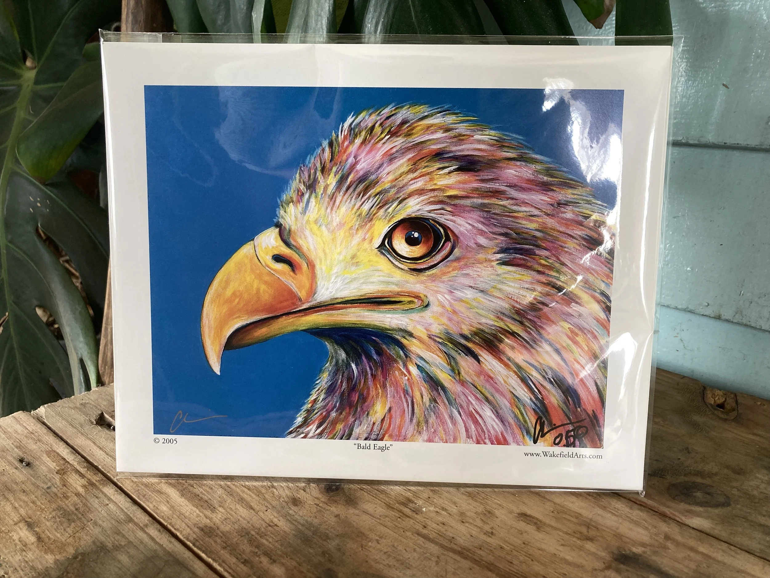 Bald Eagle Mini Print 1.jpg