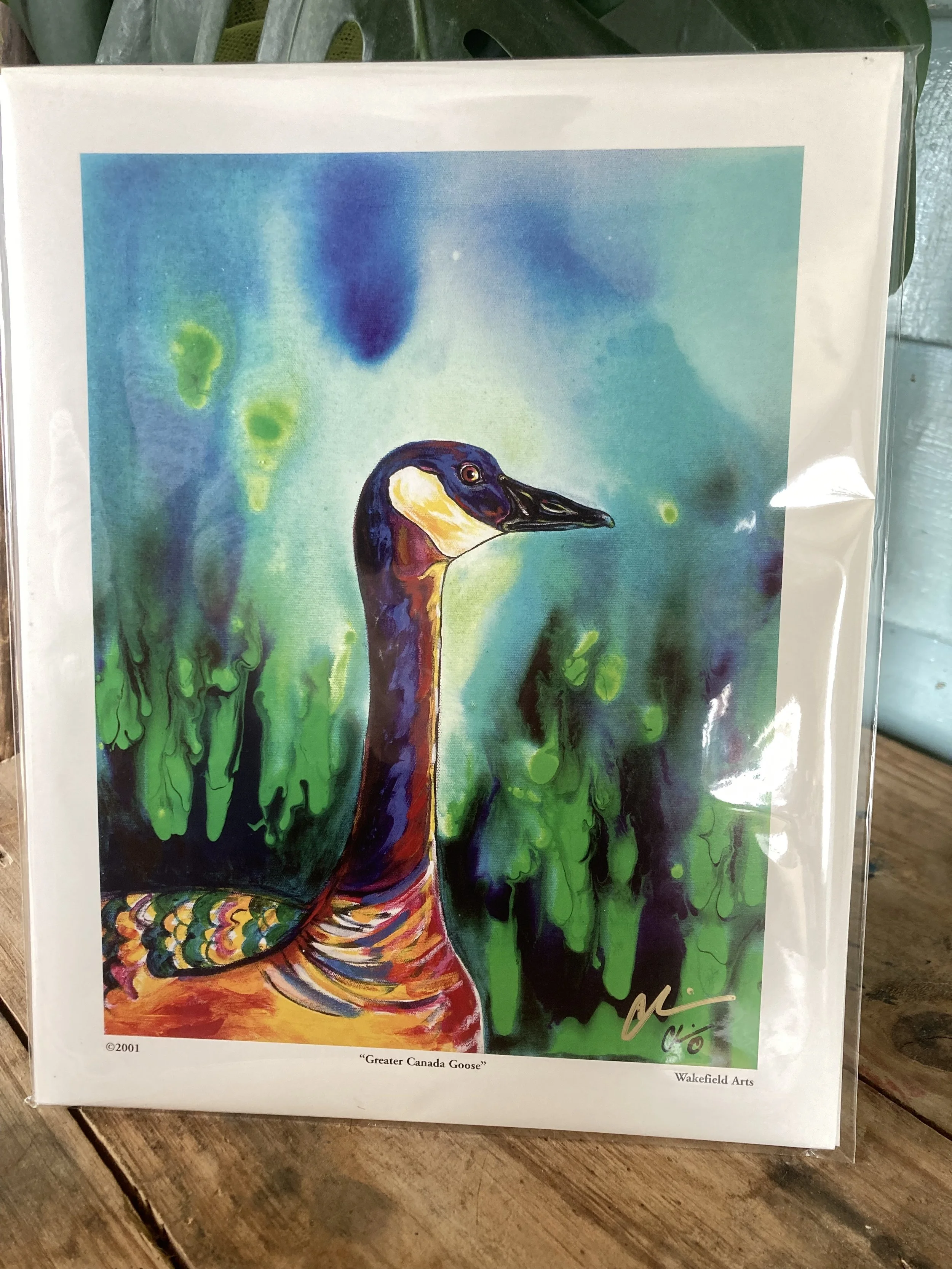 Canada Goose Mini Print 1.jpg