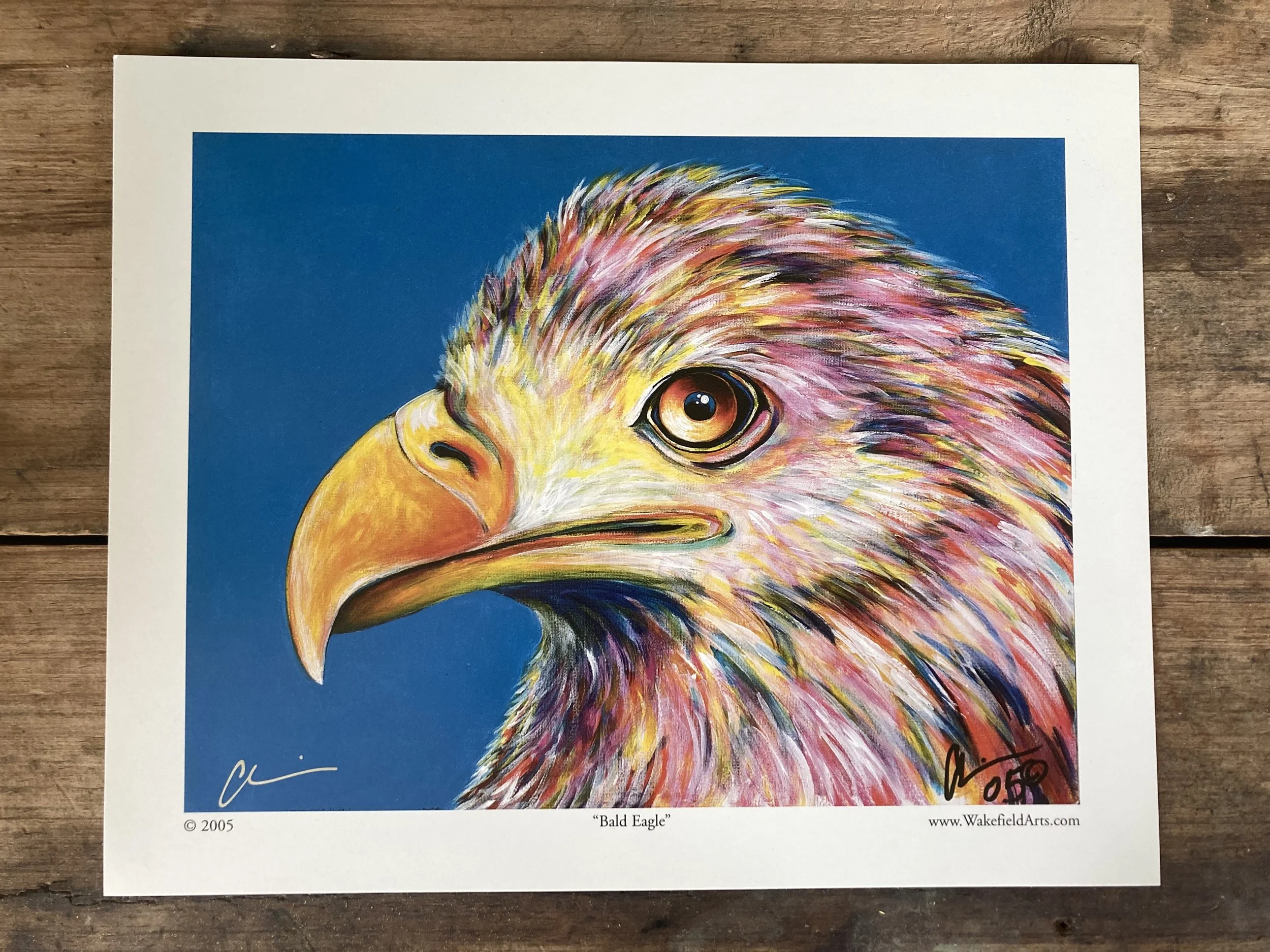 Bald Eagle Mini Print.jpg