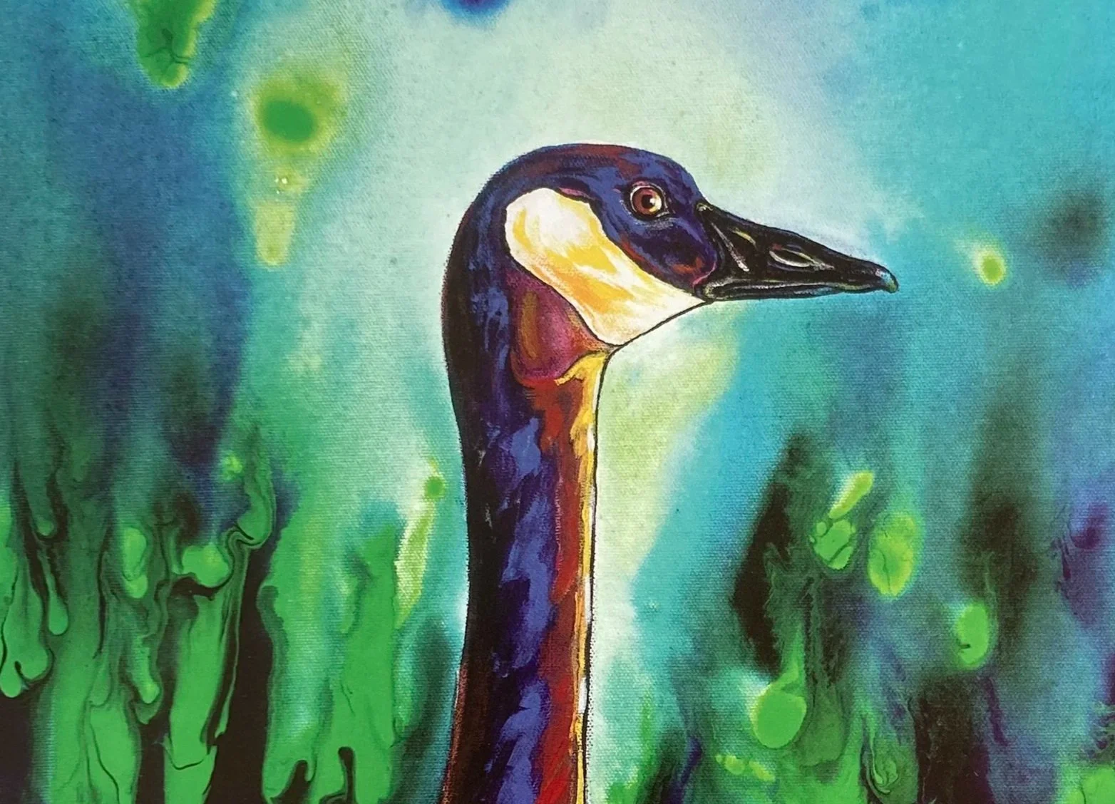 "Canada Goose"