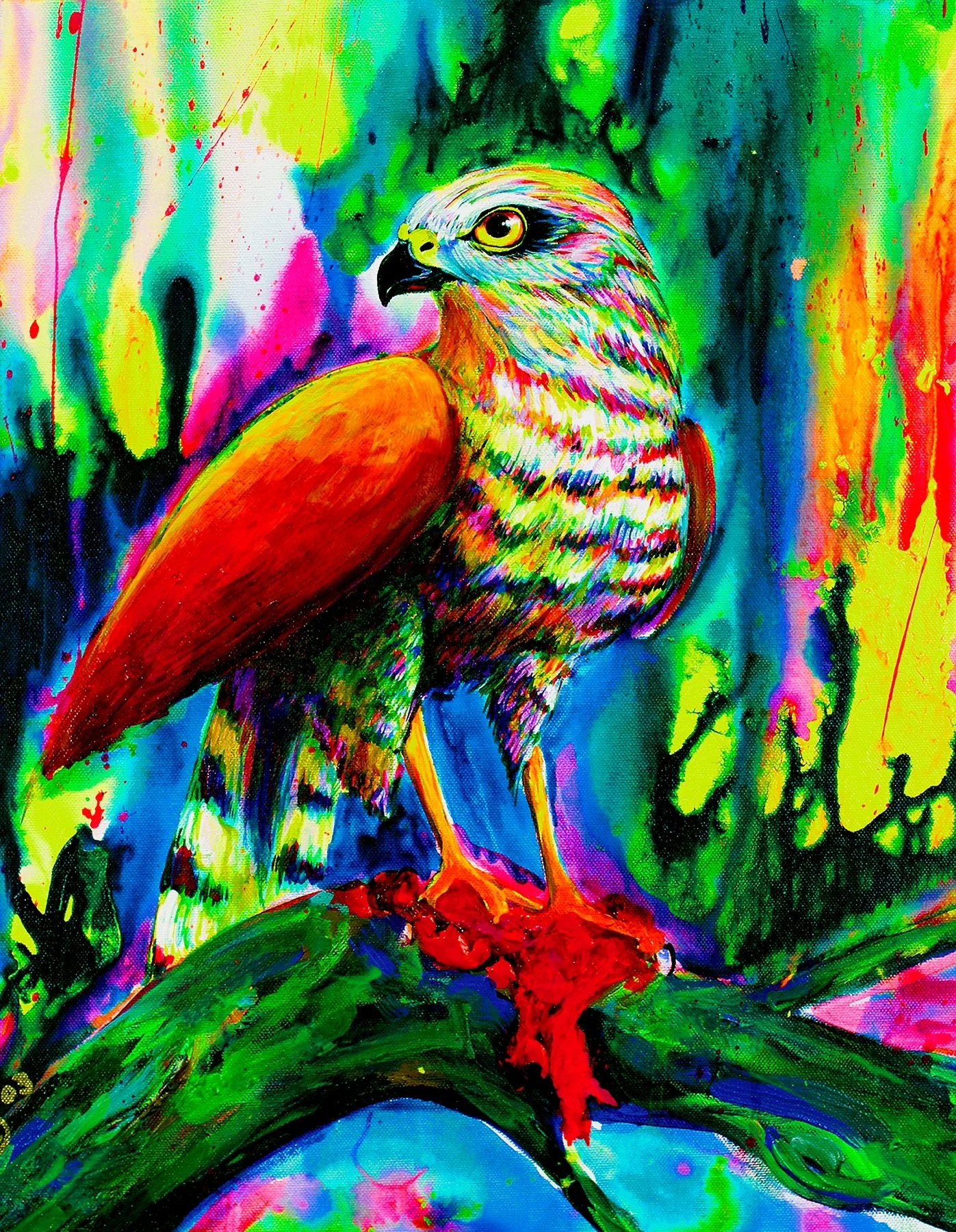 SPARROW HAWK 1.jpg