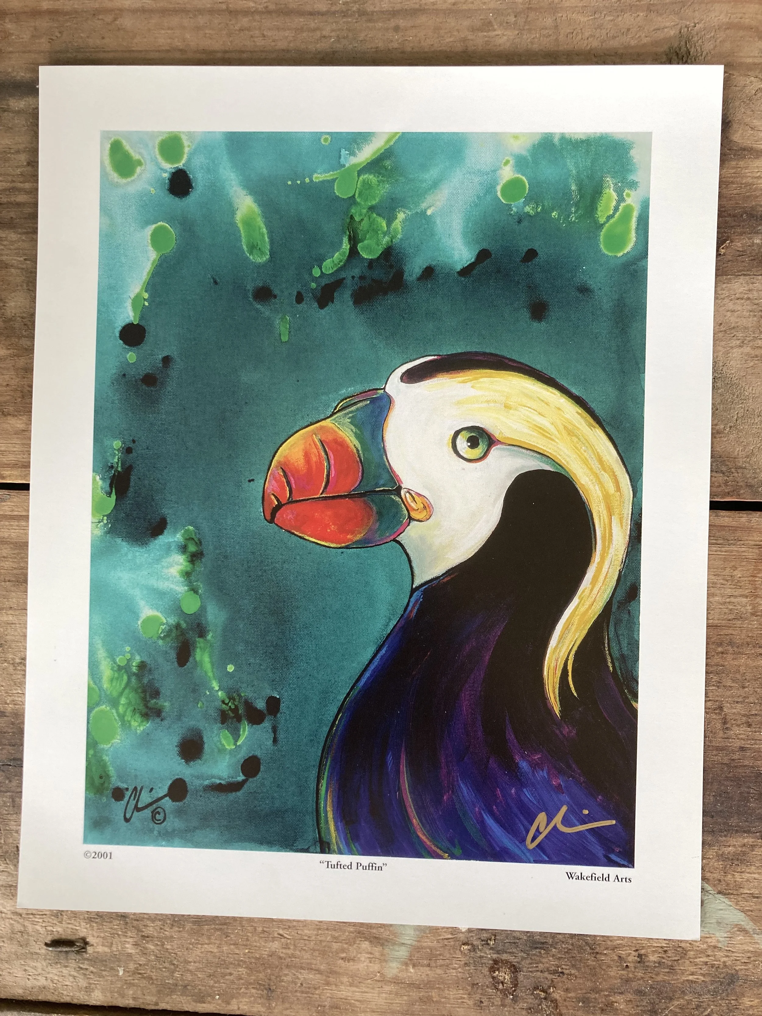 Tufted Puffin 1.jpg