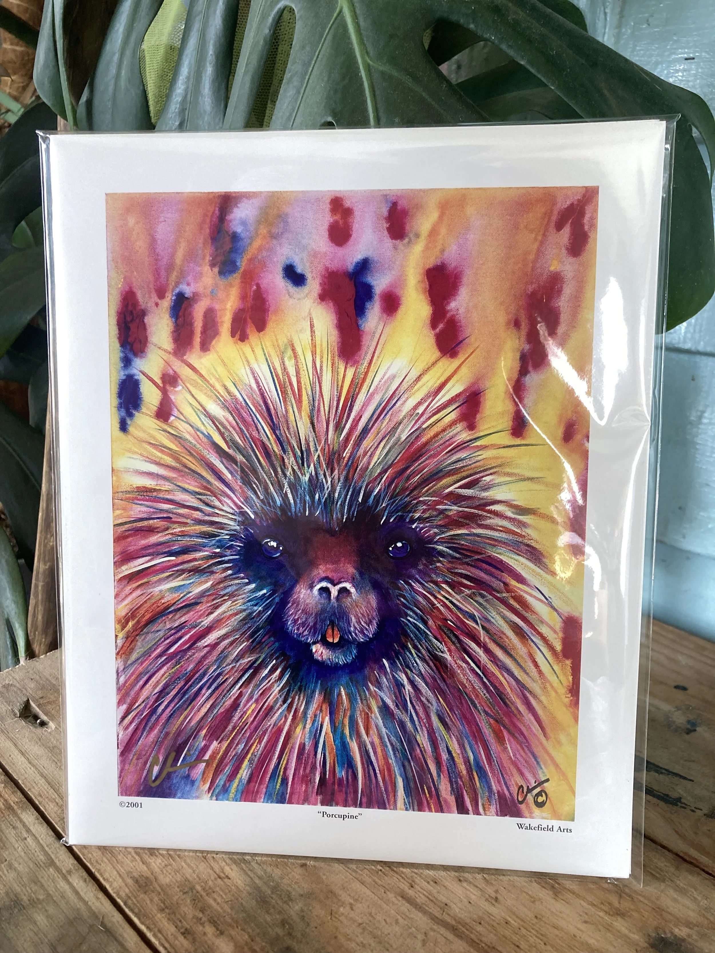 Porcupine Mini Print 1.jpg