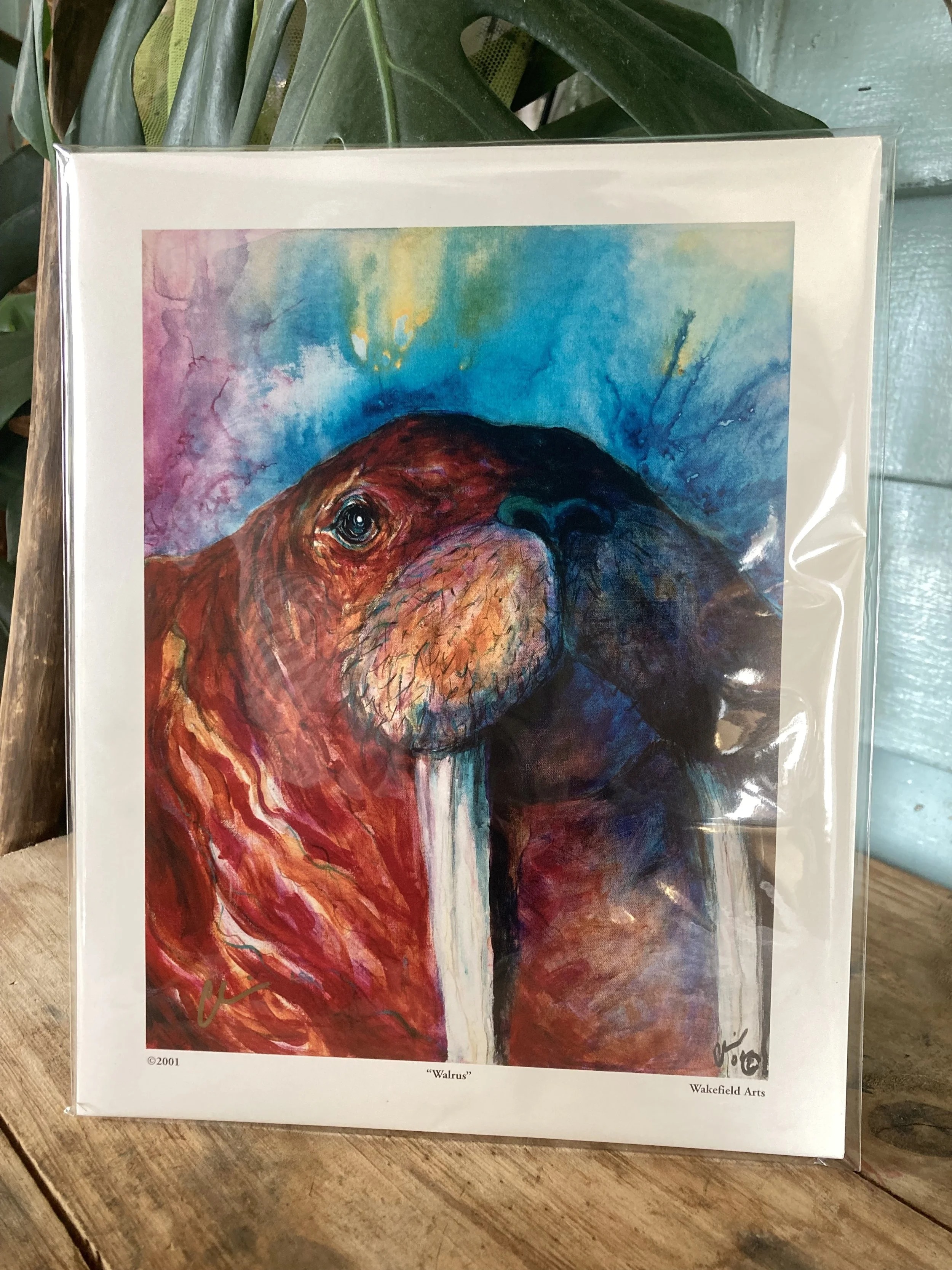 Walrus Mini Print 1.jpg