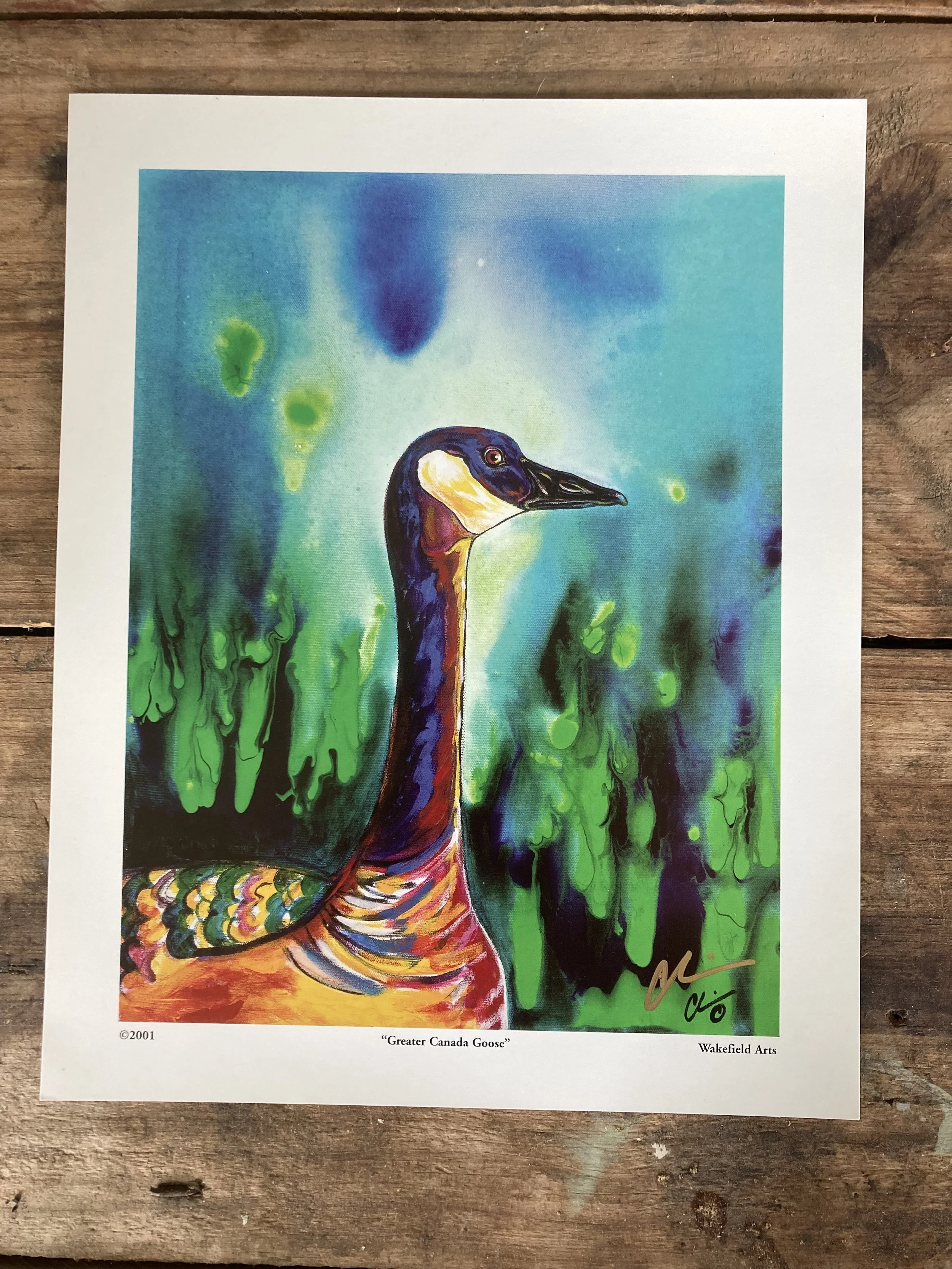 Canada Goose Mini Print.jpg